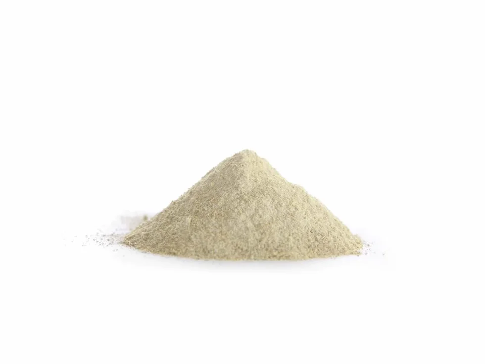 Lievito di Birra BIO 500mg 180 capsule vegetali Antietà
