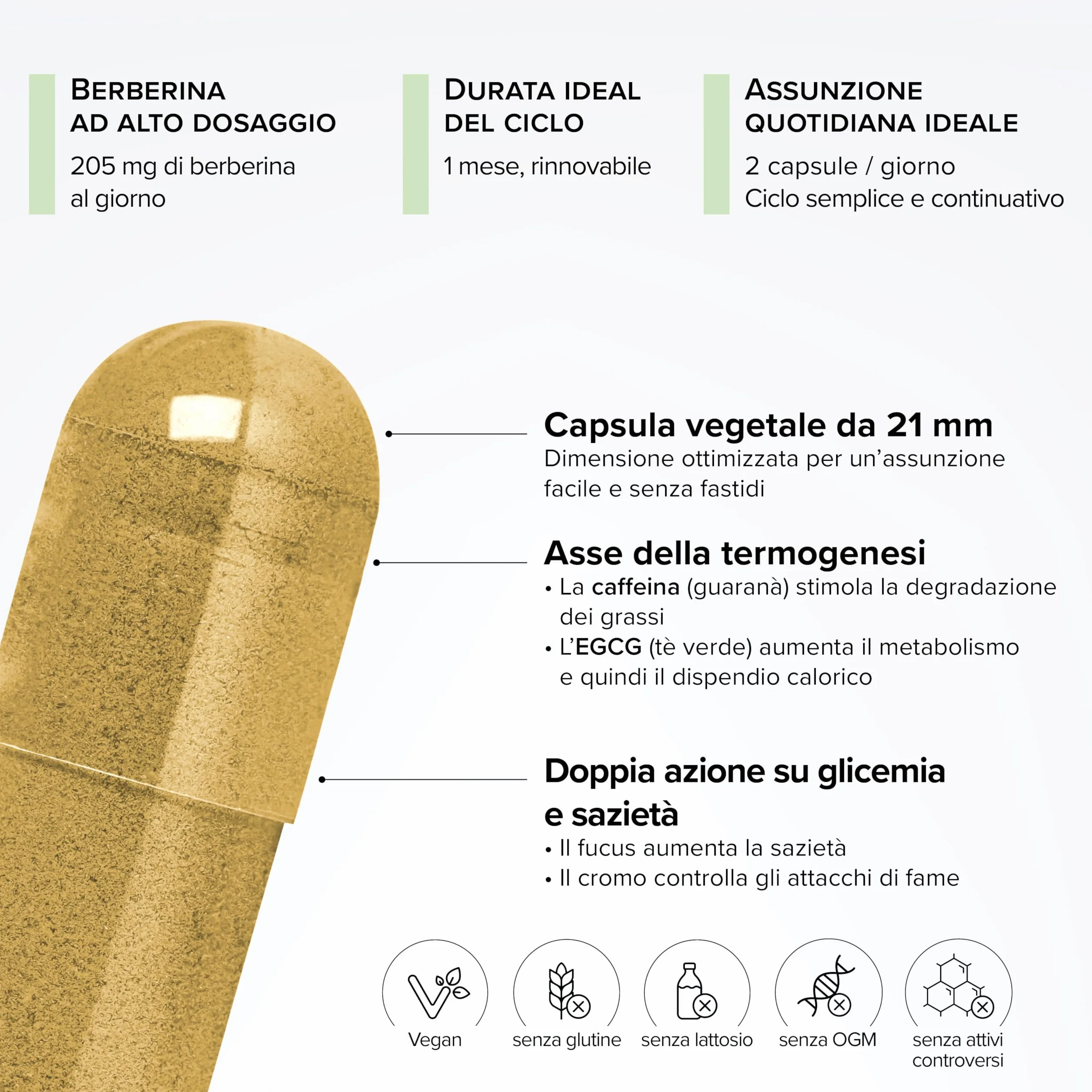 GLP-1 Boost – Con Berberina – Cromo 250 µg – Tè Verde, Fucus & Guaranà – Sazietà & Glicemia – Metabolismo – 100% Vegano – 60 capsule – Prodotto in Francia – Beyond Elements