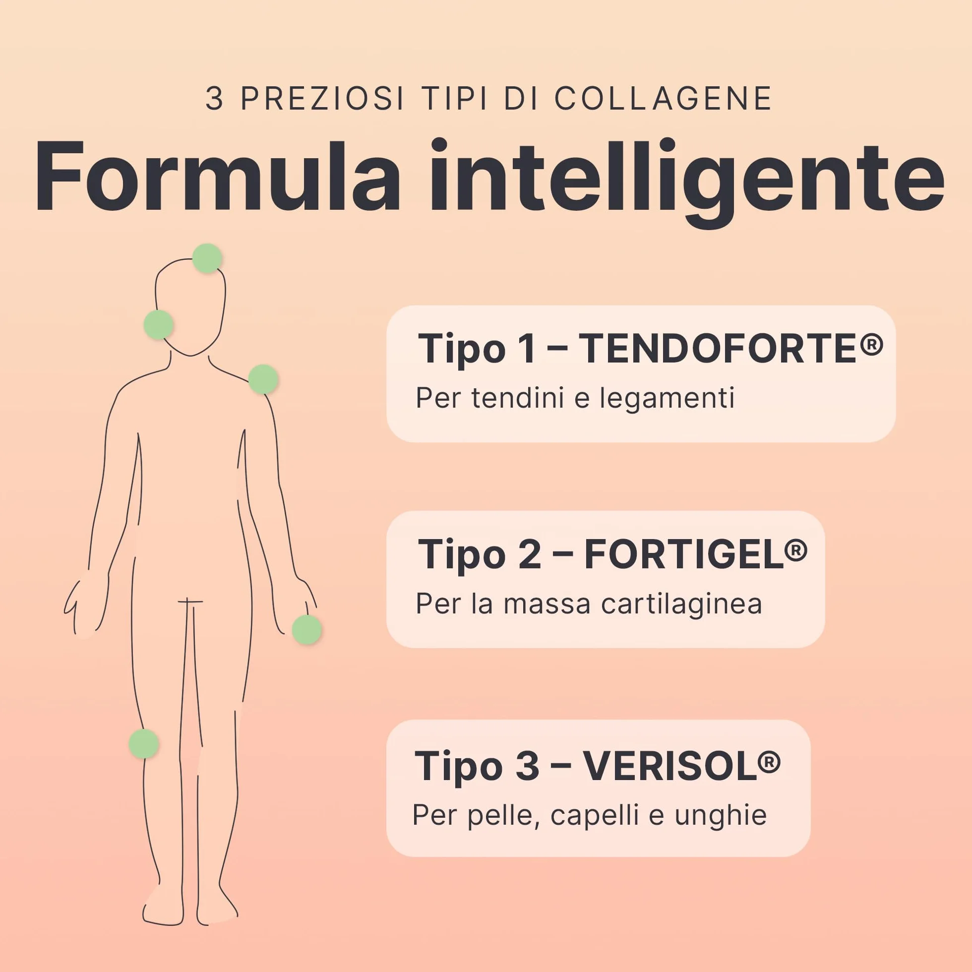 SHEKO Collagene Idrolizzato 450g - Natural Bioactive Collagen Powder - Peptidi di tipo 1, 2, 3