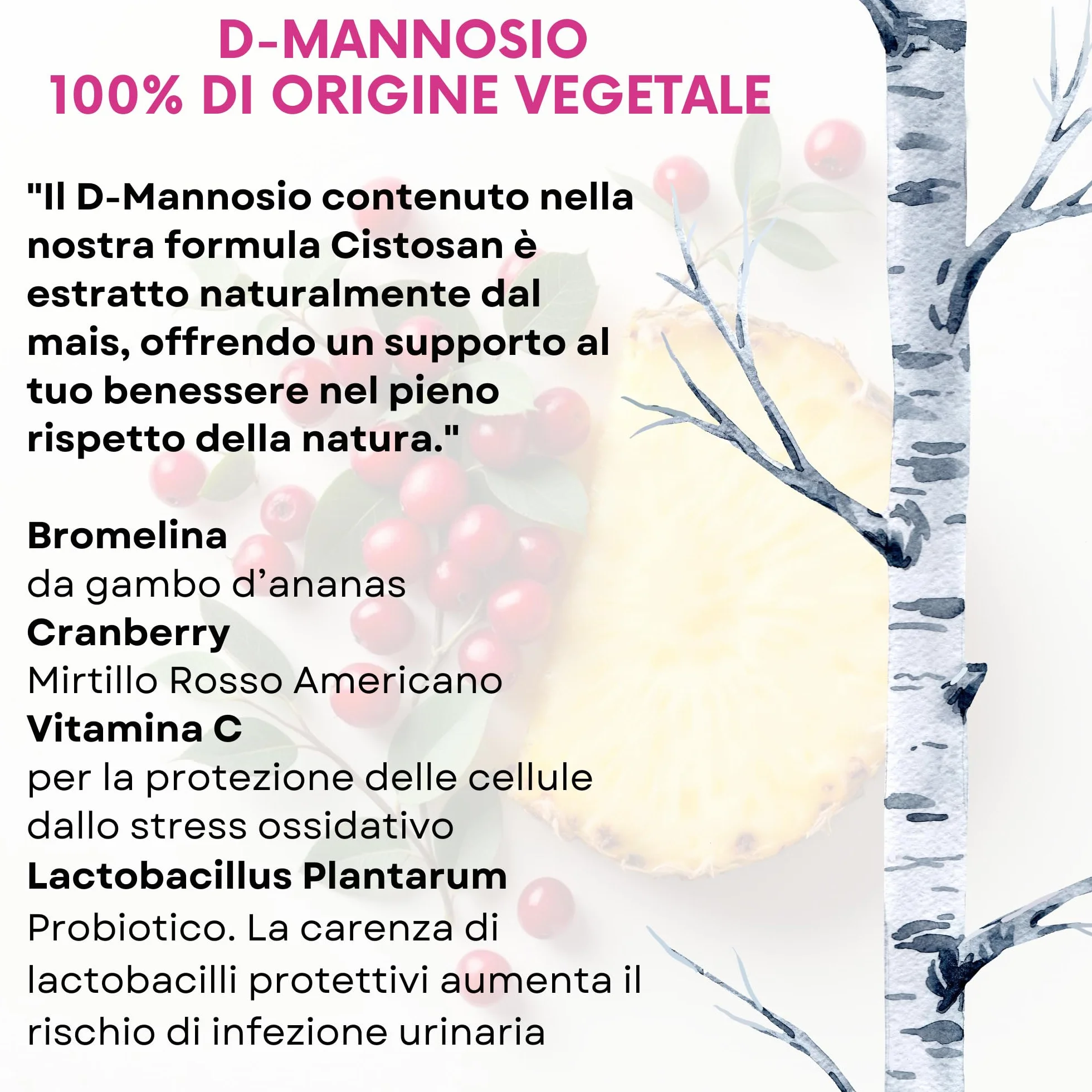 Integratore Cistite con D-Mannosio Puro 2000 mg Bromelina Mirtillo Rosso Fermenti lattici Vitamina C Per Favorire La Funzionalità Vie Urinarie Vegano 60 capsule Cistosan Agips Farmaceutici