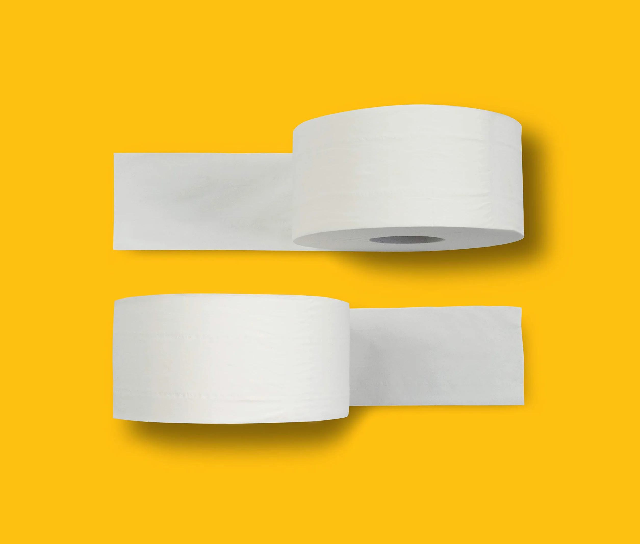 AmazonCommercial Carta Igienica Mini Jumbo Premium 2 Veli 12 Rotoli 557 Strappi per Rotolo 30,5cm x 9cm