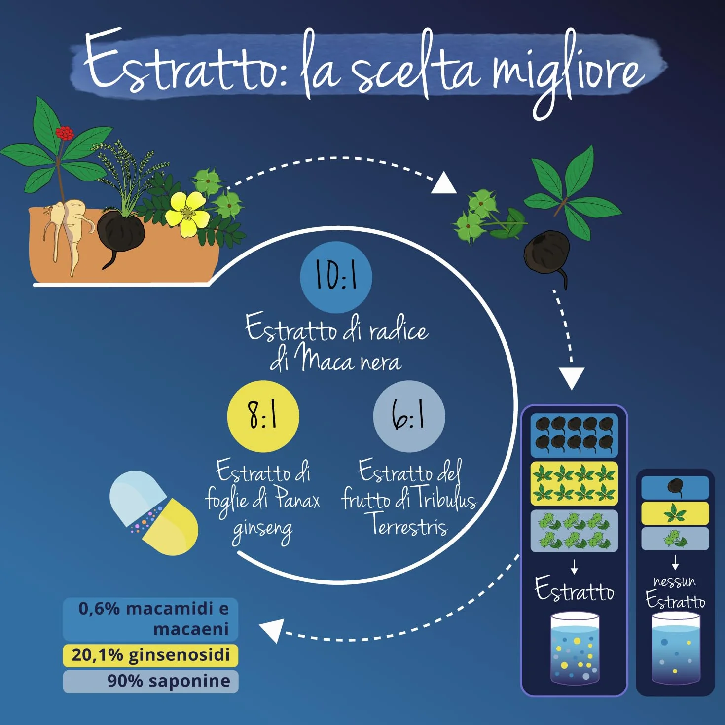 Maca Nera Complex | con L-arginina + Ginseng + Tribulus + Zinco | Integratori Sport Pre-workout | 120 capsule | Vegan | Senza Additivi | Vegavero