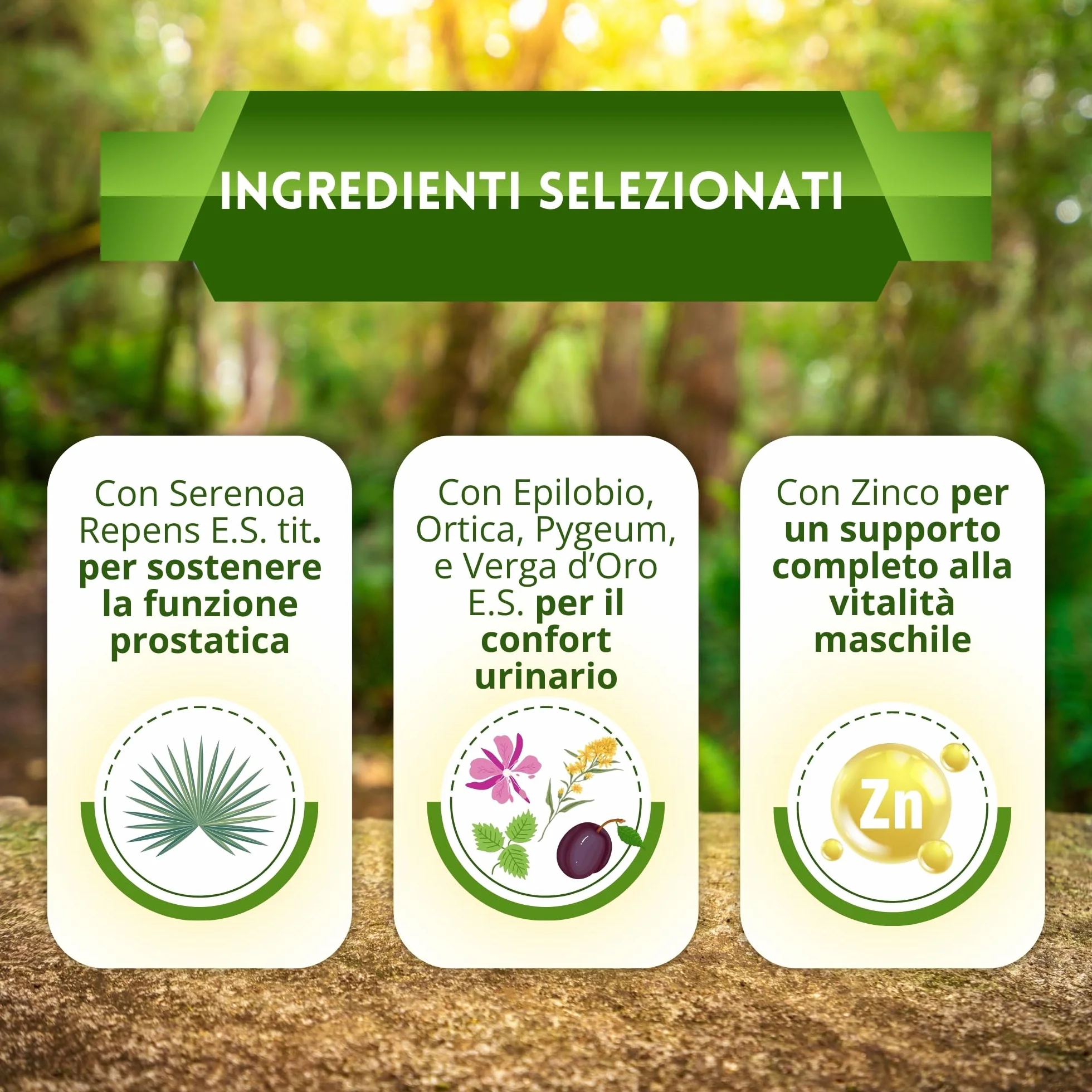 Serenoa Repens 660mg Saw Palmetto Integratore Prostata Uomo con Estratto di Epilobio, Ortica e Pygeum