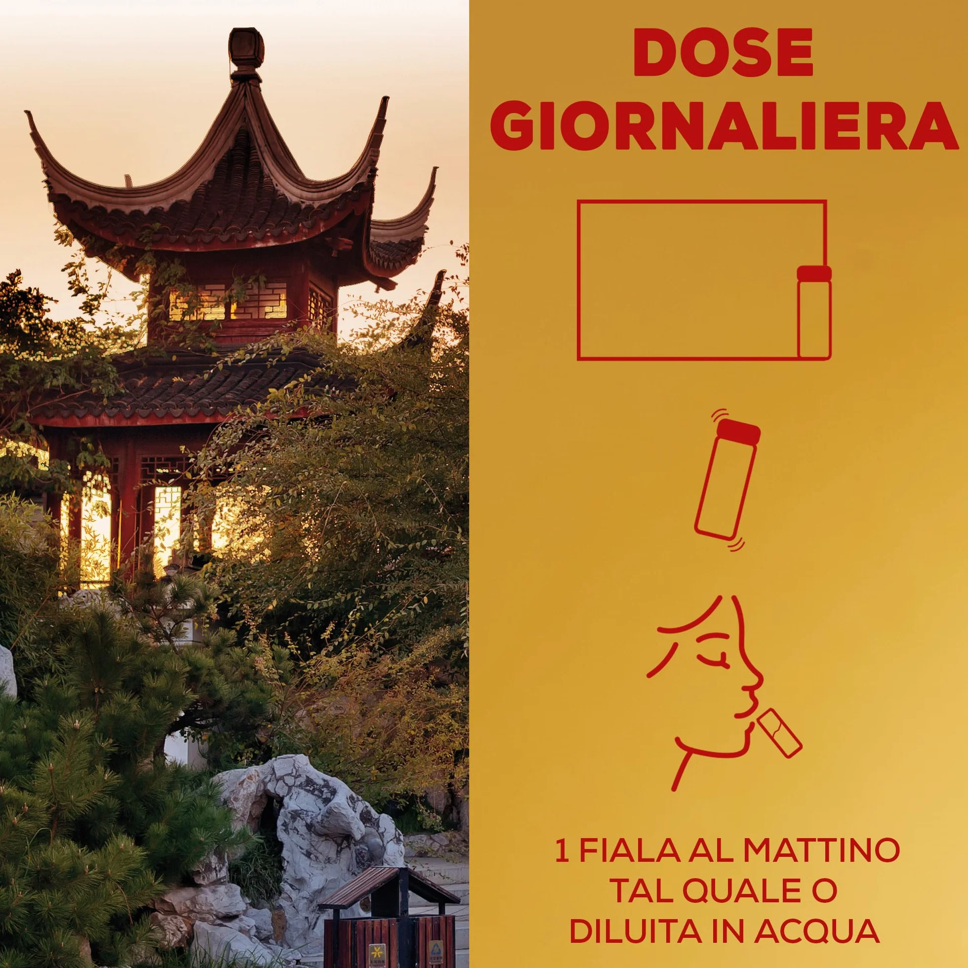Rimedi d'Oriente Matt Ginseng Alta Concentrazione Integratore Alimentare per Stanchezza Fisica e Mentale 8 Fiale 10 ml