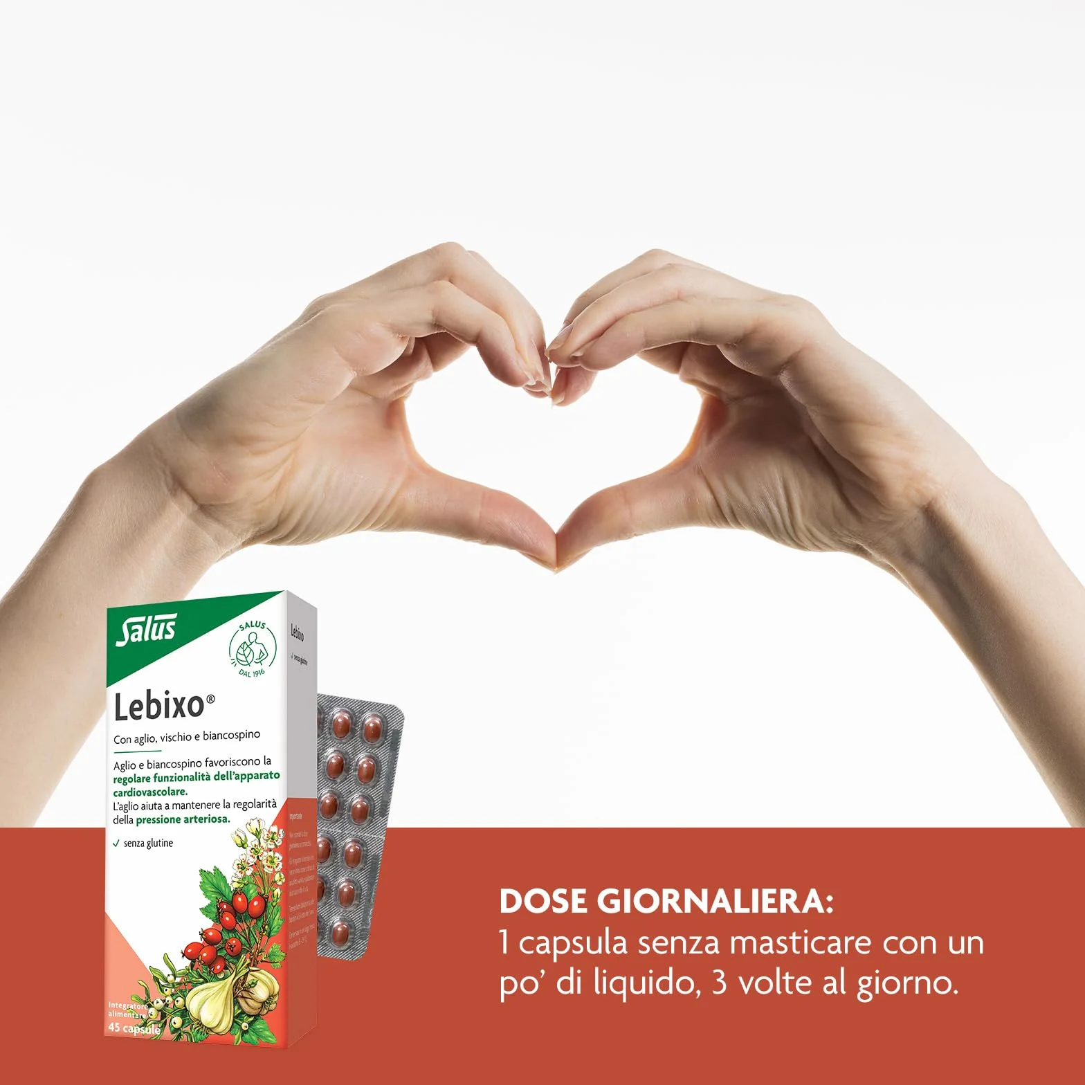 Salus Lebixo - Integratore Alimentare per la regolarità cardiovascolare e della pressione arteriosa, a base di Aglio, Vischio e Biancospino - 45 Capsule