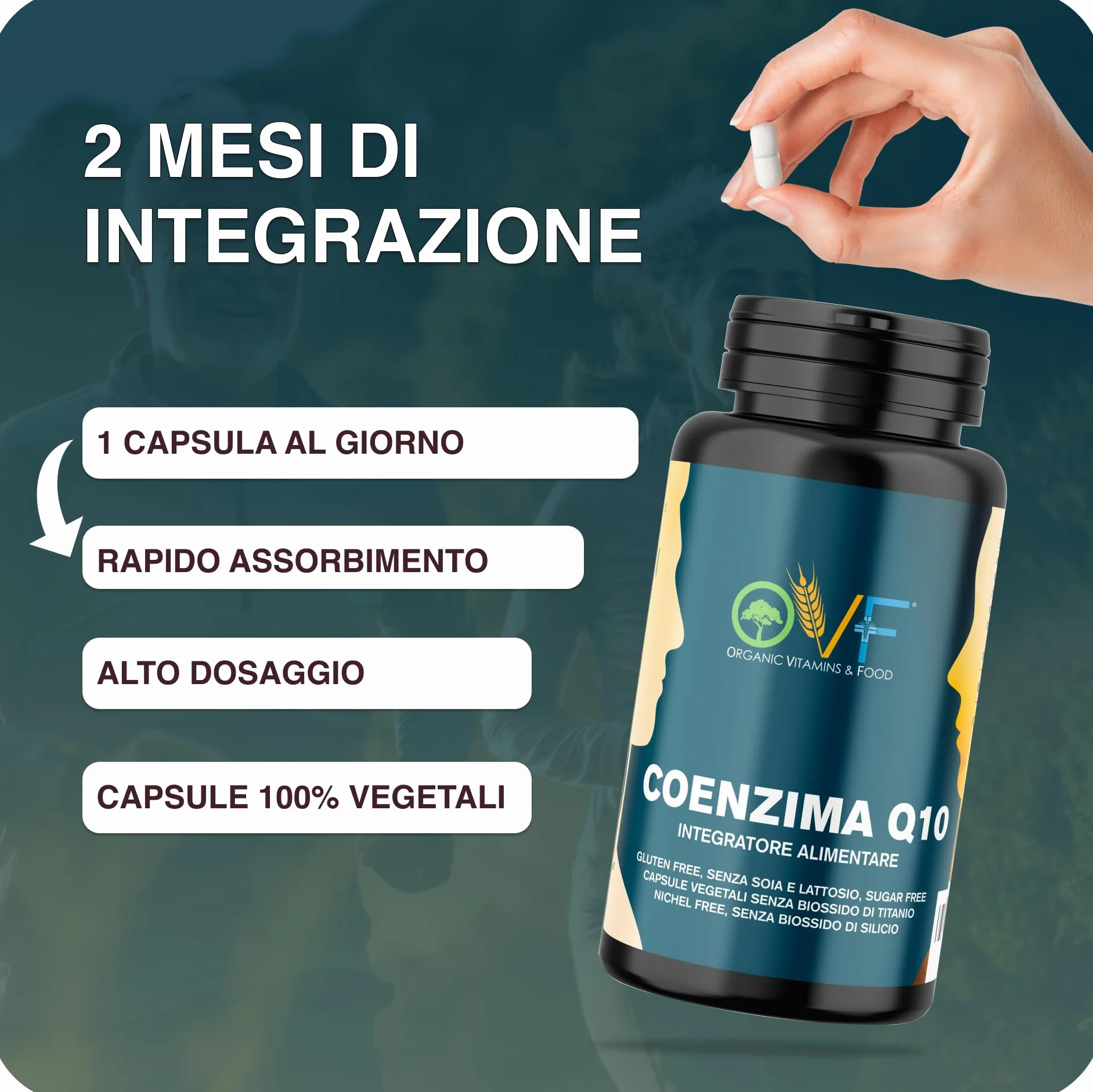 OVF Coenzima Q10 100mg (60 Cps) - Sostegno Energetico e Cardiaco - Integratore Naturale - Q10 Coenzima Antiossidante AntiAge per la Pelle e il Sistema Immunitario.