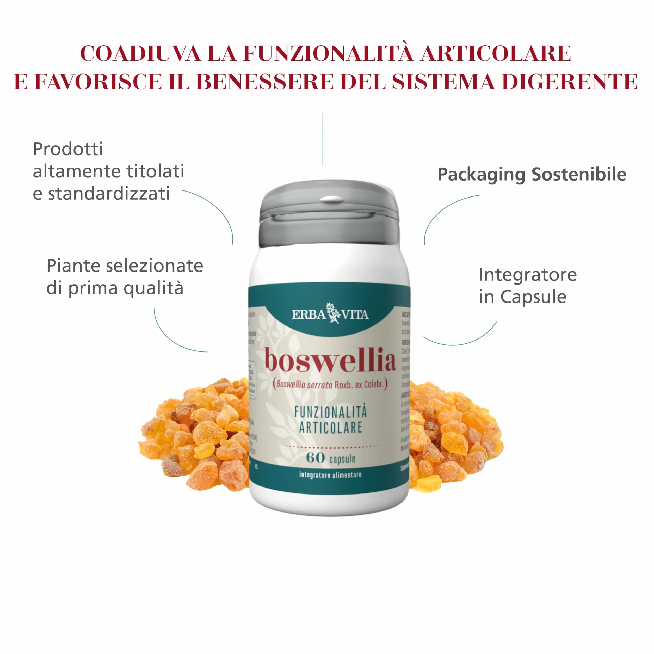 ERBA VITA Integratore Alimentare di Boswellia Serrata - 60 Capsule - Favorisce la funzionalità articolare e il benessere del sistrema digerente