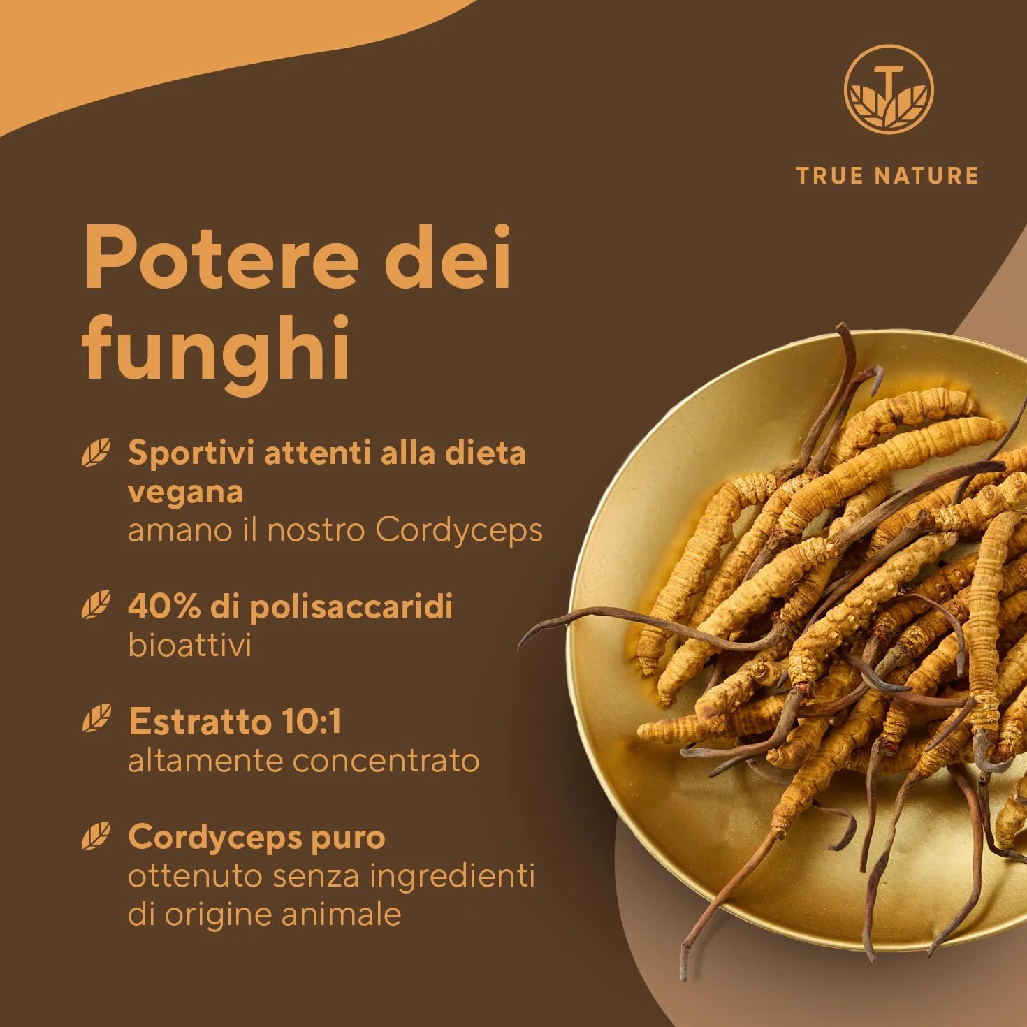 Cordyceps Sinensis - 19500 mg - 270 Capsule (Estratto CS-4 10:1) Alto dosaggio - con 40% di Polisaccaridi Bioattivi - Analizzato in Italia e confezionato in Germania da TRUE NATURE