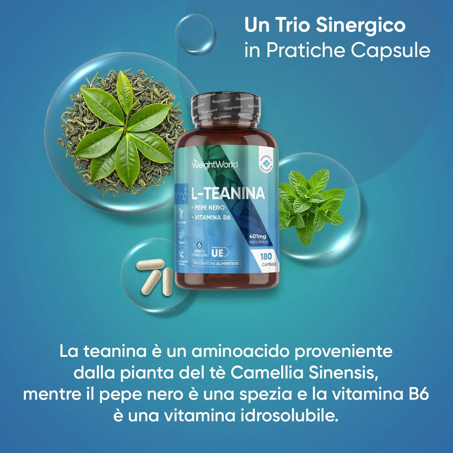 L Teanina 401mg, 180 Capsule Vegane, 1 al Giorno (6 Mesi di Scorta), L-Teanina Estratta dalla Camellia Sinensis con Pepe Nero e Vitamina B6, Aminoacido L Theanine da Tè Verde, Senza Magnesio Stearato