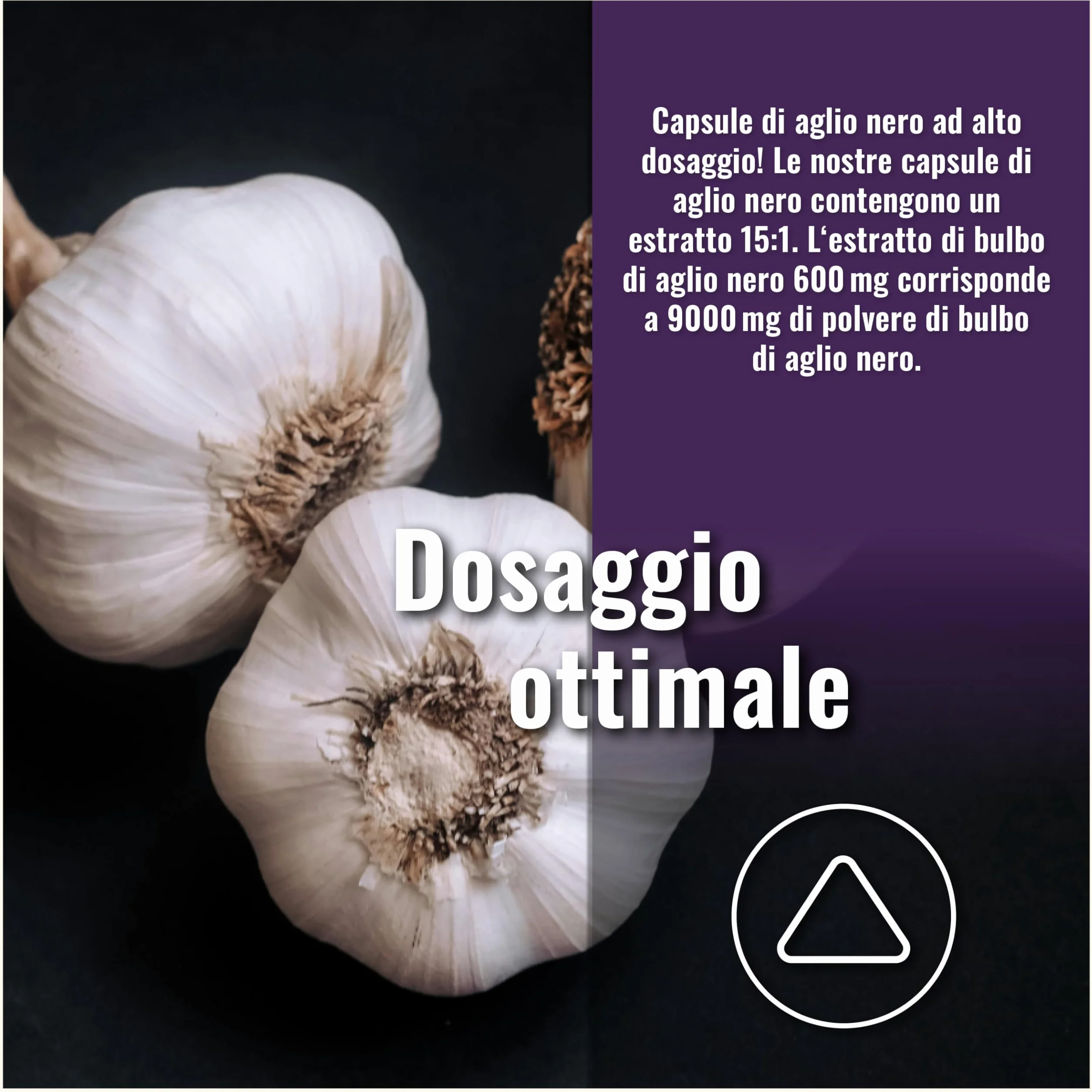 Capsule di aglio nero capsule 9 000 mg da estratto 15:1 – 365 capsule ad alto dosaggio, Black Garlic Capsules, Vegane e senza additivi, aglio-capsule aglio-nero-fermentato aglio-integratore