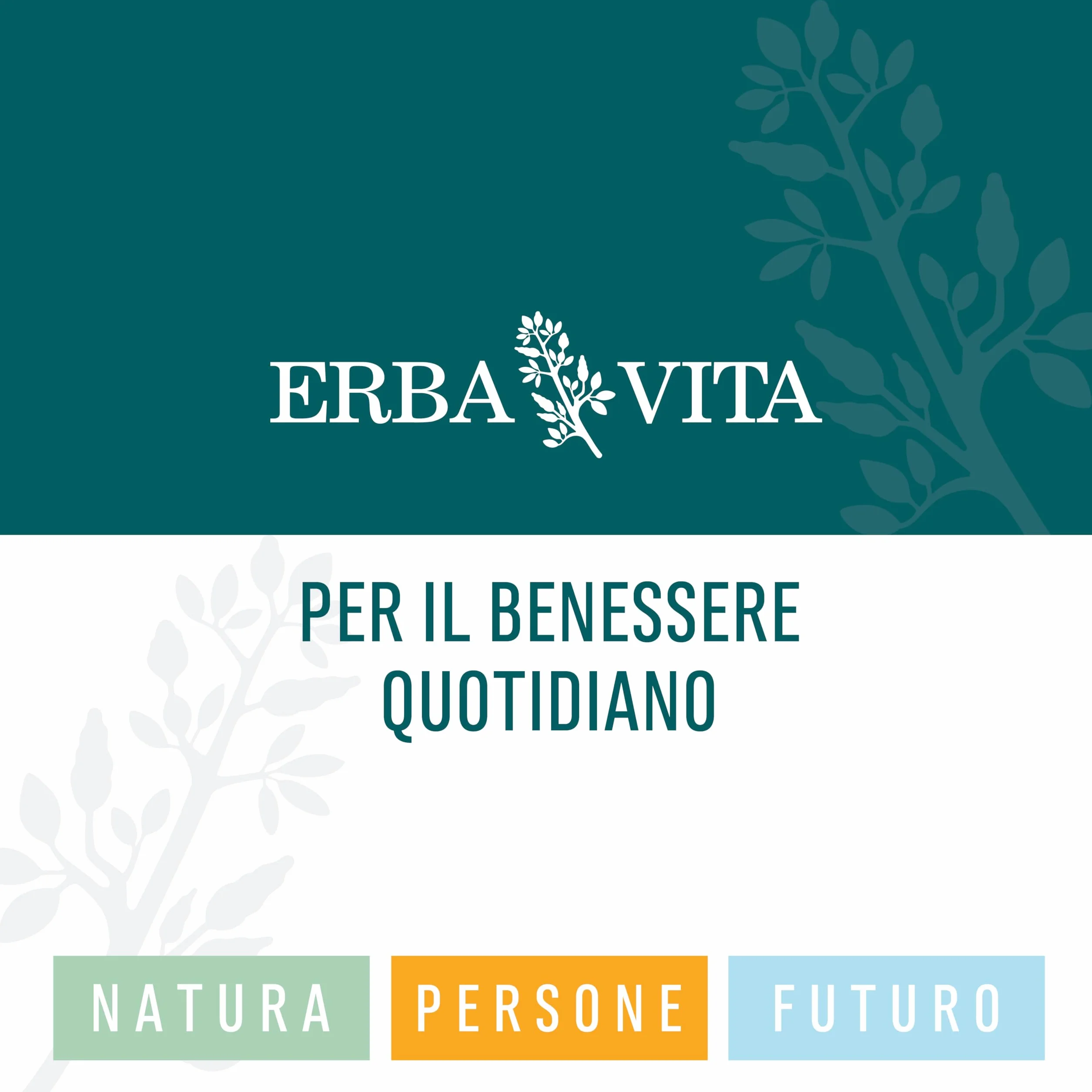 ERBA VITA Integratore Alimentare Di Mirtillo Nero 60 Capsule