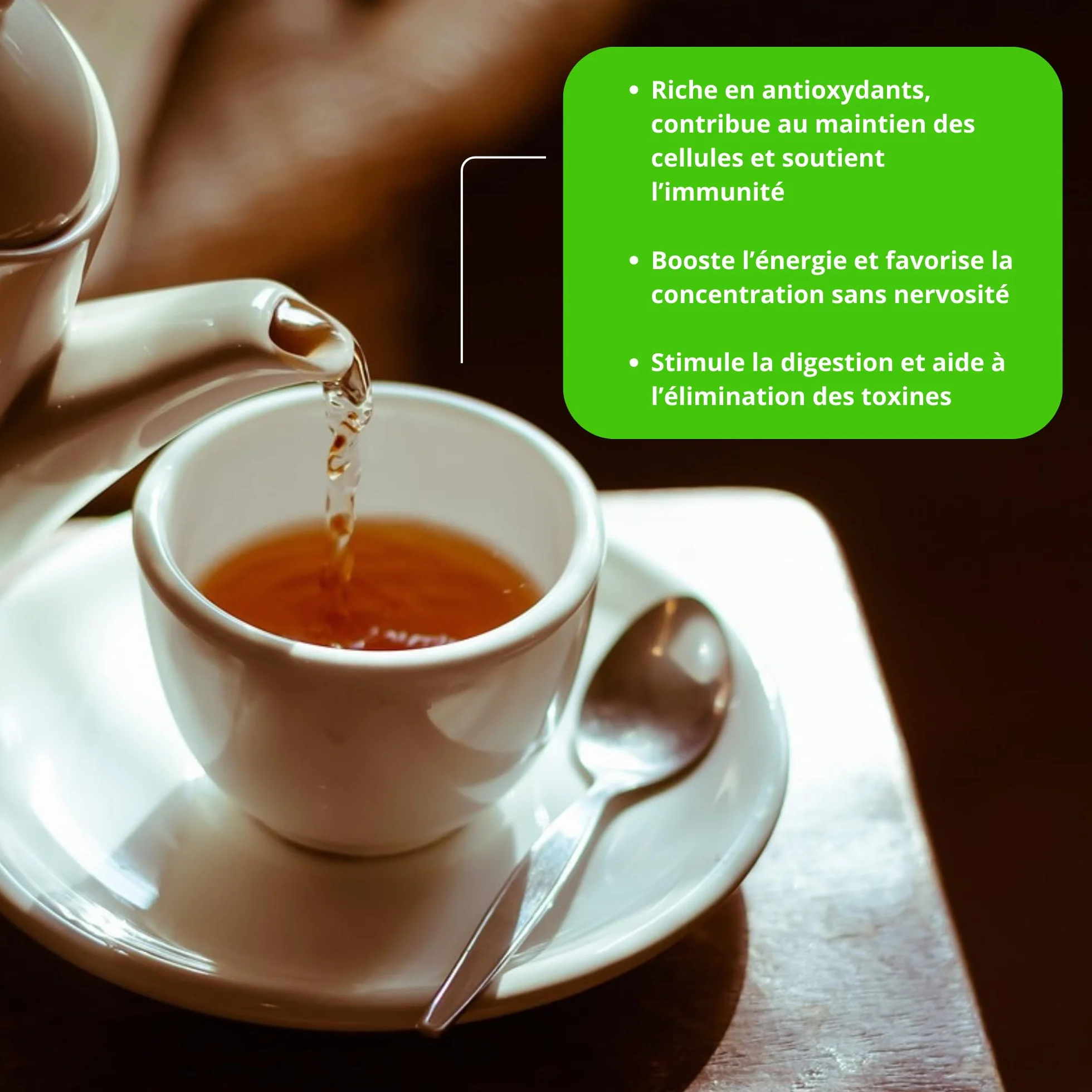 Tè Verde biologico aromatizzato Menta Marrakesch - 100g (40 tazze) - Tè sfuso 100% agricoltura biologica - Mes-Tè