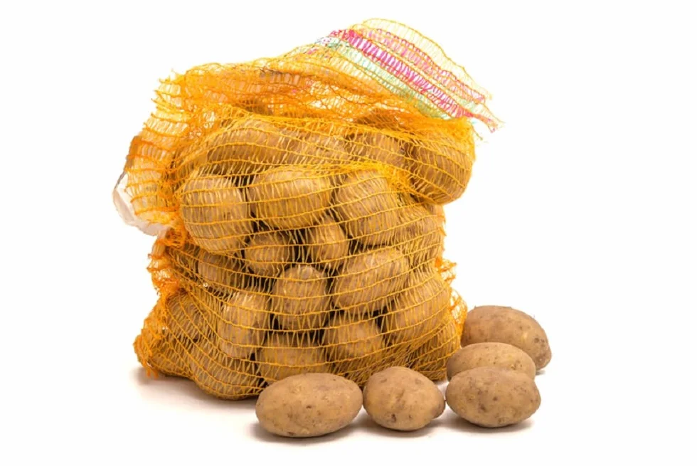 HaGa Sacchi Raschel 100 pezzi – 31 cm x 50 cm sacchetto per patate e cipolle