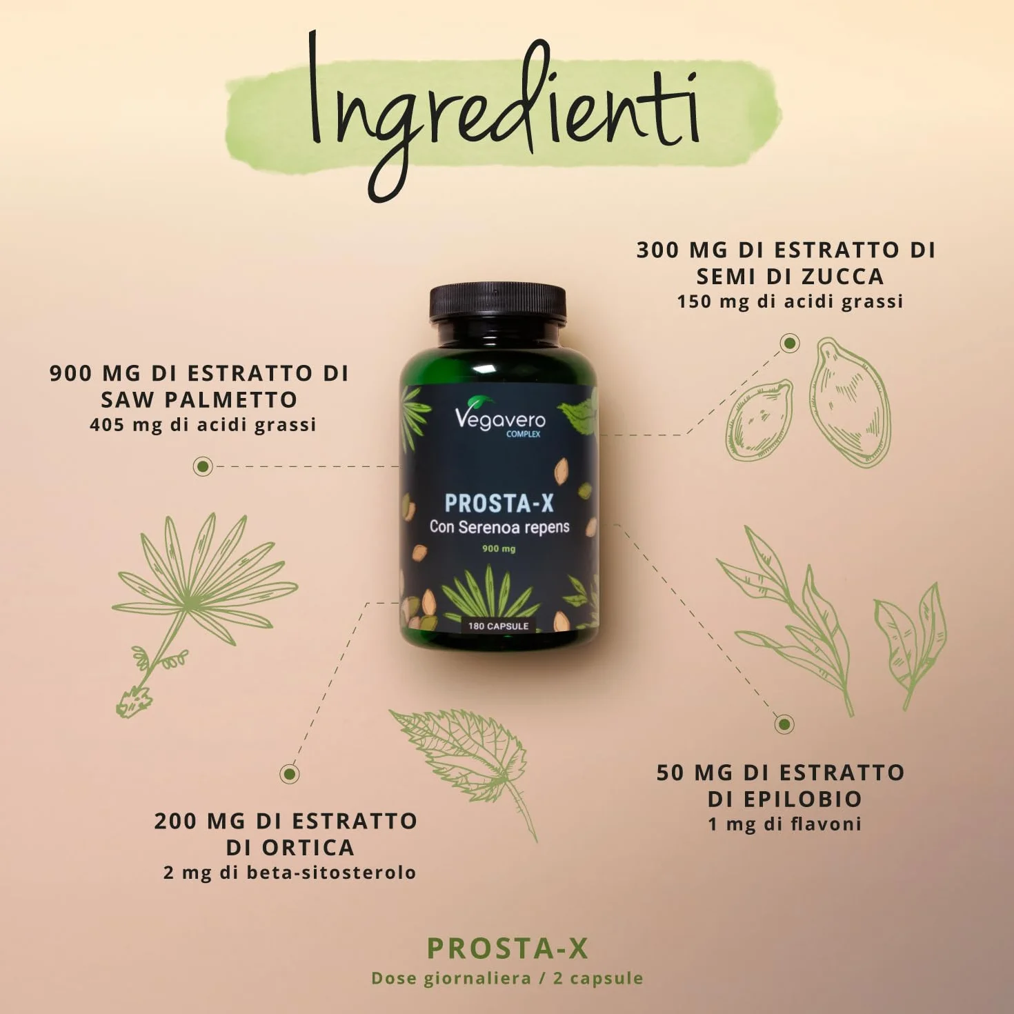 Vegavero® Serenoa Repens 900 mg 180 capsule Integratore Prostata Uomo Saw Palmetto Epilobio Ortica Zucca