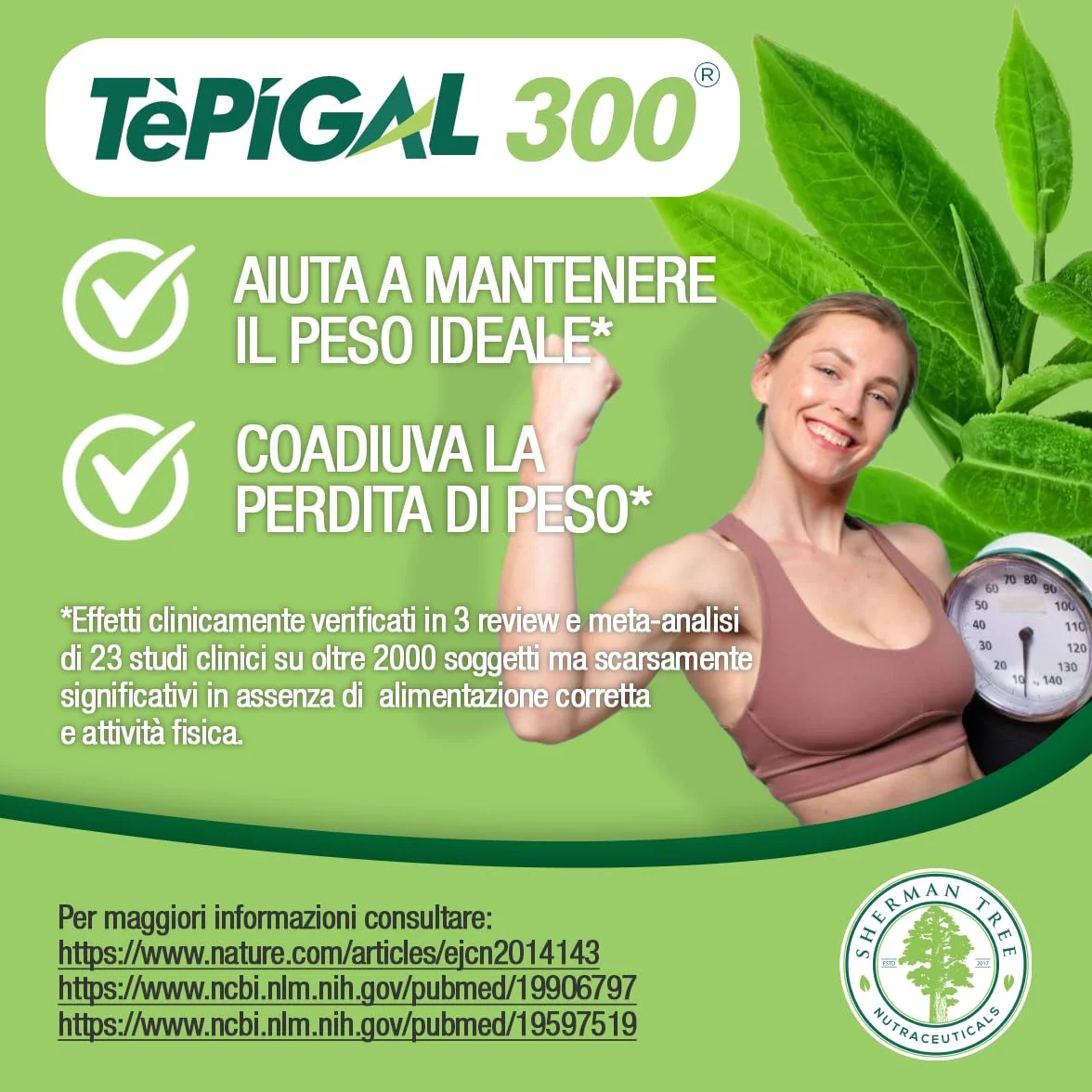 EGCG da tè verde ≥95% - Stimolante metabolico, blocca-fame, energizzante