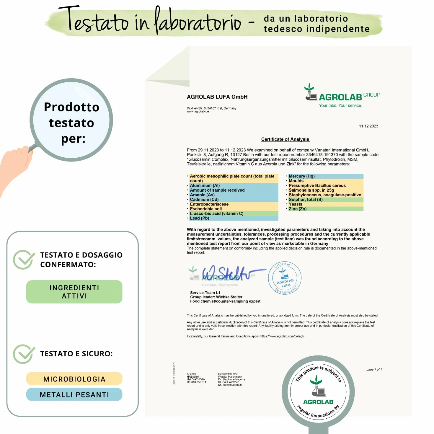 Glucosamina Condroitina Complex VEGAN | con MSM, Artiglio del diavolo, Zinco e Vit C | Integratore Articolazioni | Alto dosaggio di Glucosamin Solfato | Cruelty Free e Senza Additivi | Vegavero