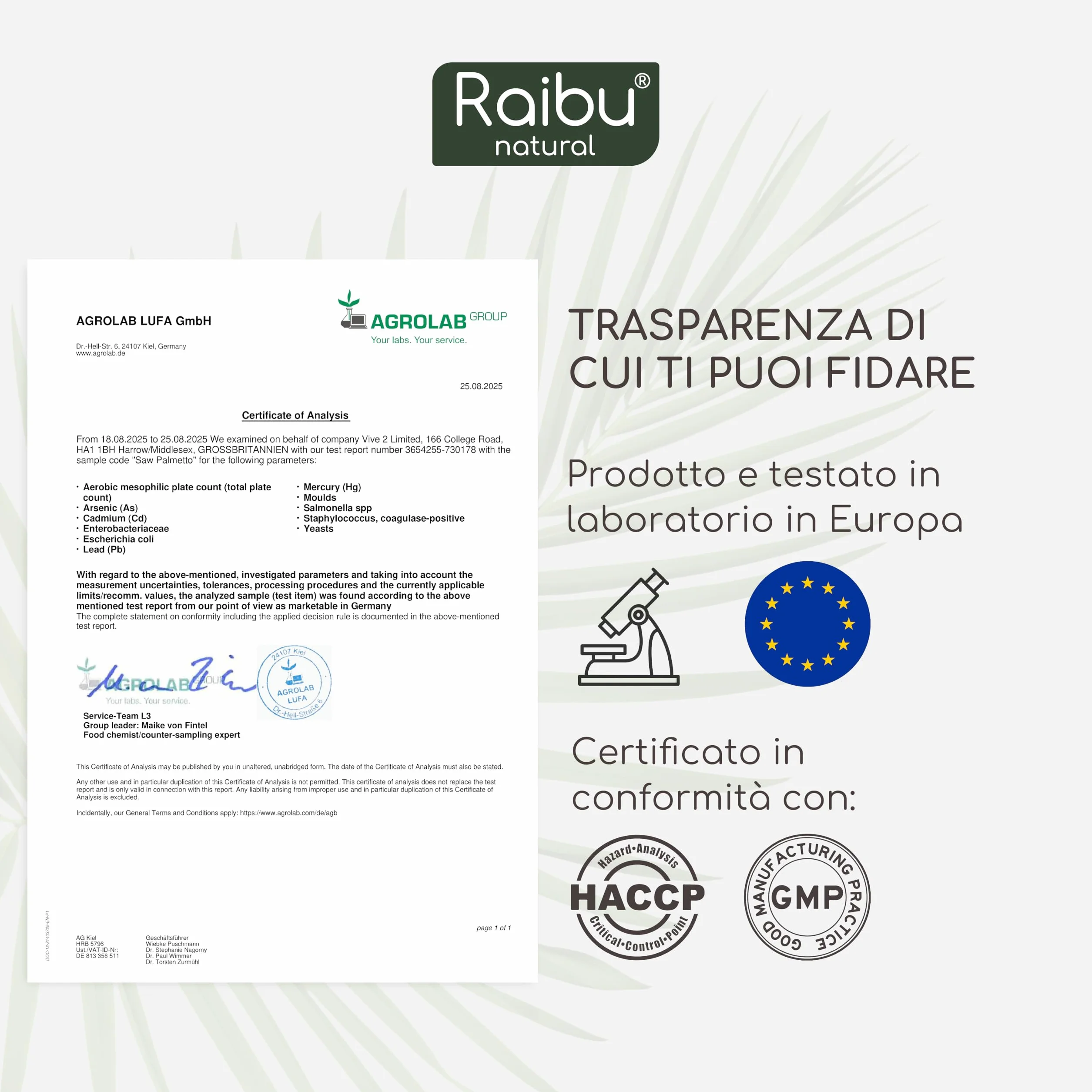 Raibu Serenoa Repens 1100 mg Integratore Prostata Uomo, Estratto 20:1 Saw Palmetto con Semi di Zucca, 120 Capsule Vegane