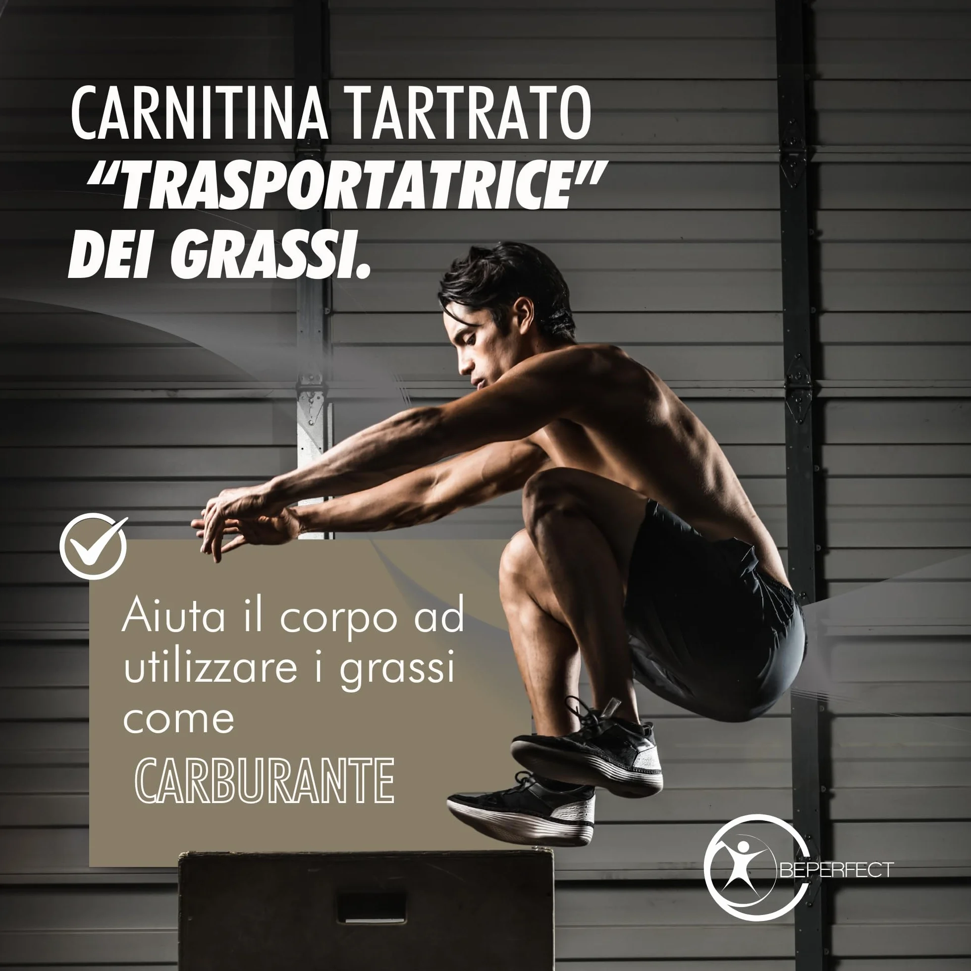 Acetil L-Carnitina Tartrato 3360 mg 90 Compresse Integratore Supporto Metabolico e Energetico