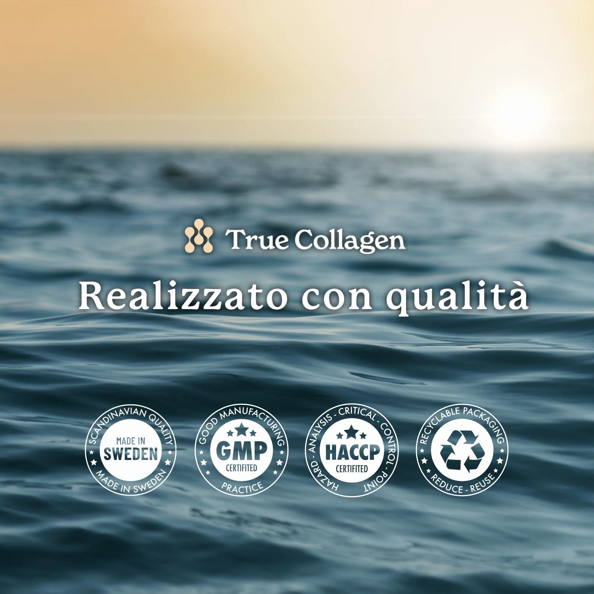 True Collagen Premium 11000mg collagene marino 500 ml collagene idrolizzato puro Tipo I e III acido ialuronico biotina capelli vitamine minerali senza zucchero