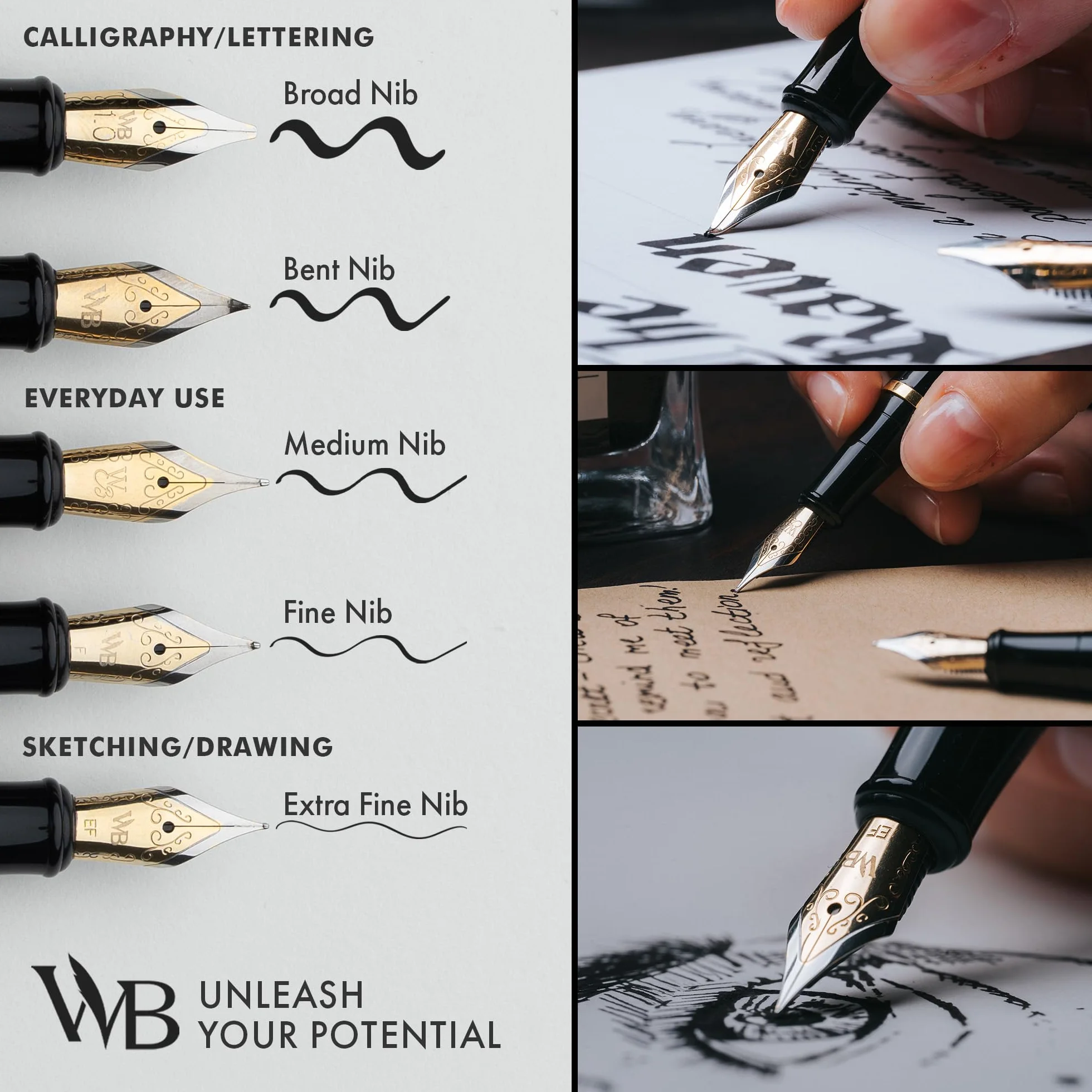 Erudite Fine Nib Black Gold Trim Pen