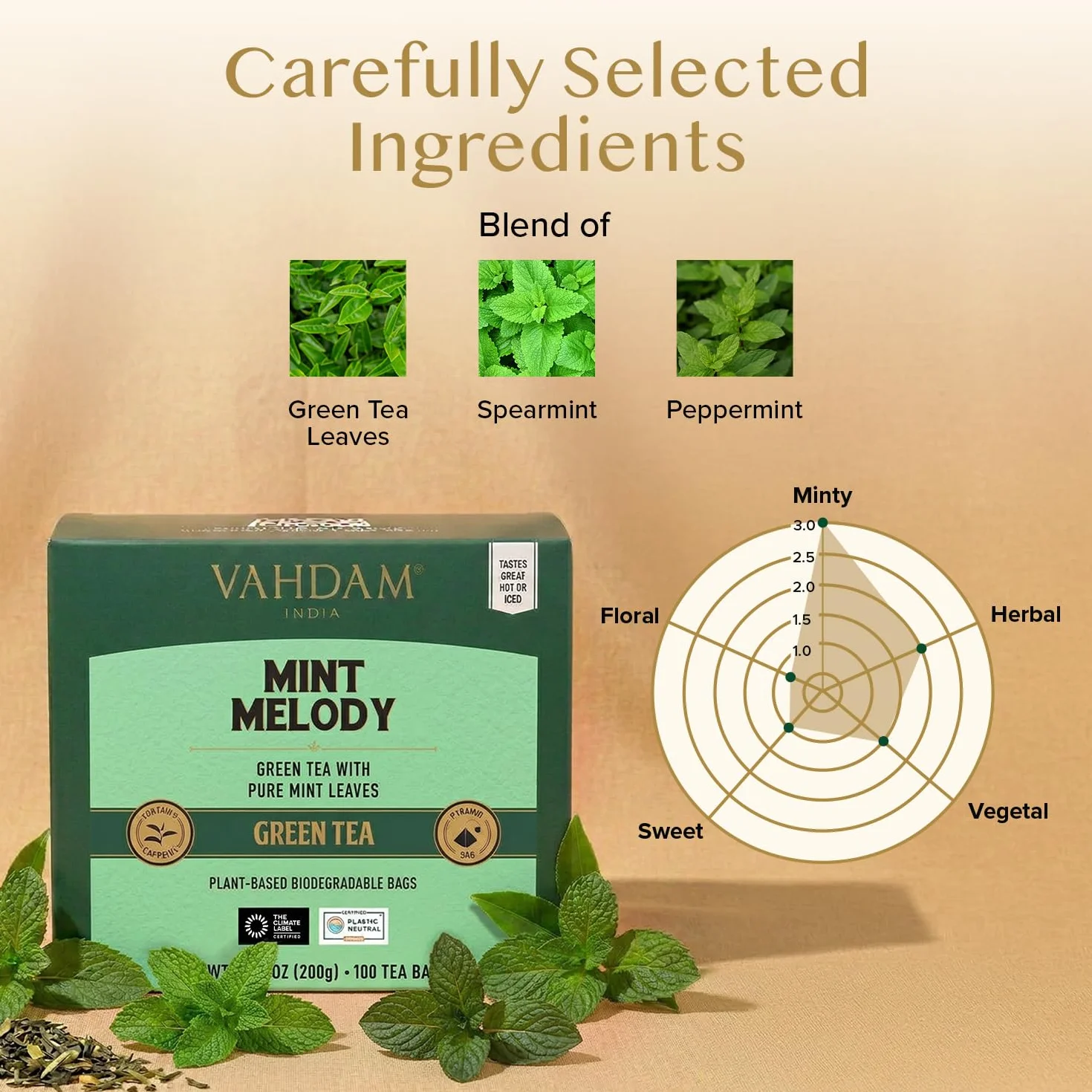 VAHDAM, Tè Verde alla Menta (100 Bustine) Basso Tenore di Caffeina | Te Verde in Foglie di Prima Qualità | In Bustina Richiudibile con Chiusura Ermetica | Tè Verde di Alta Quota