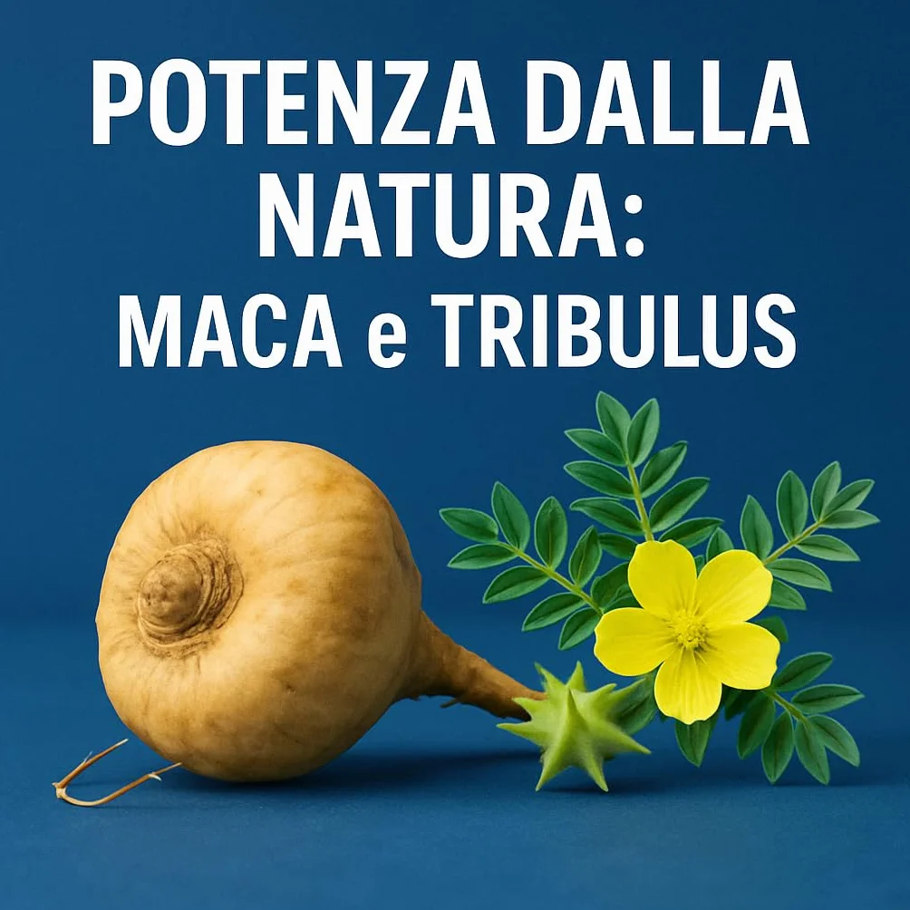 AlohaLabs ToroGum 60 PILLOLE BLU Integratore Uomo Forza Energia Resistenza Performance Massime Gomme Masticare Azione Rapida Potente Maca Taurina Tribulus Terrestris