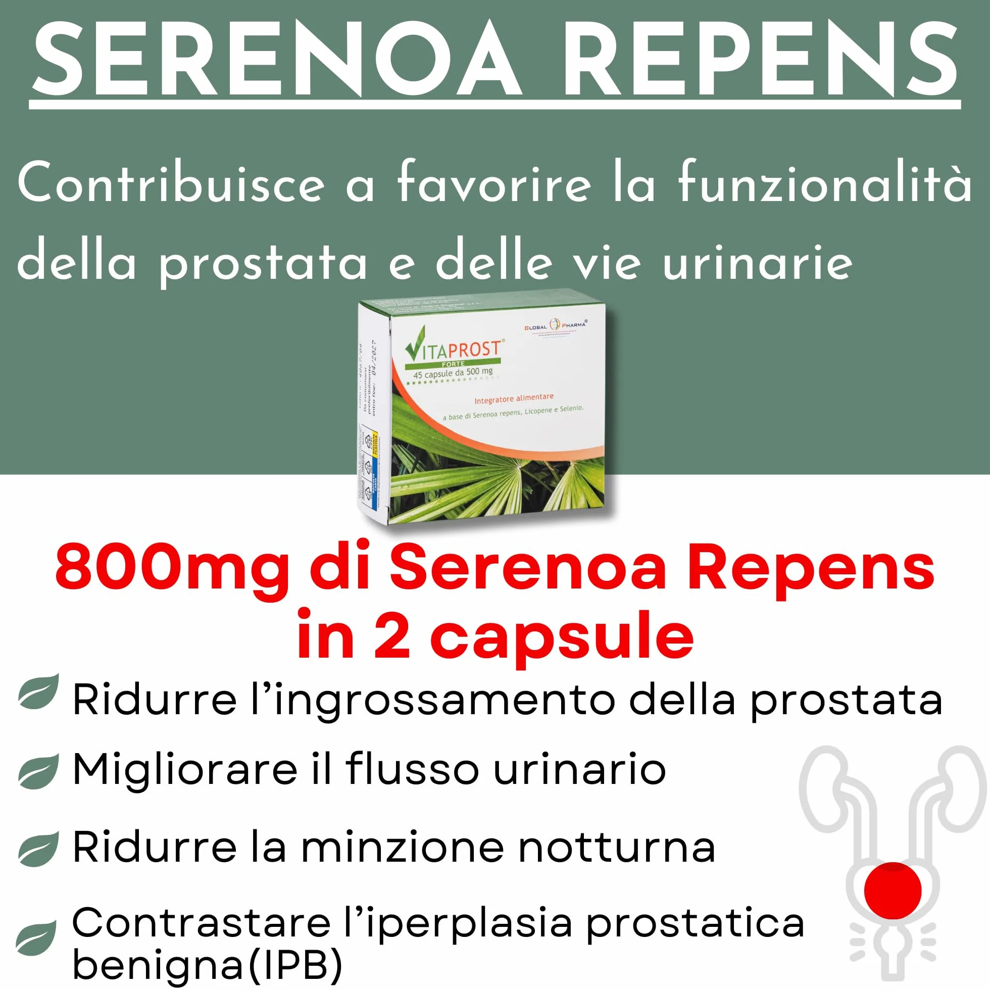 VITAPROST FORTE Global Pharma Integratore prostata 800mg SERENOA REPENS Saw Palmetto Licopene Selenio 45 Capsule