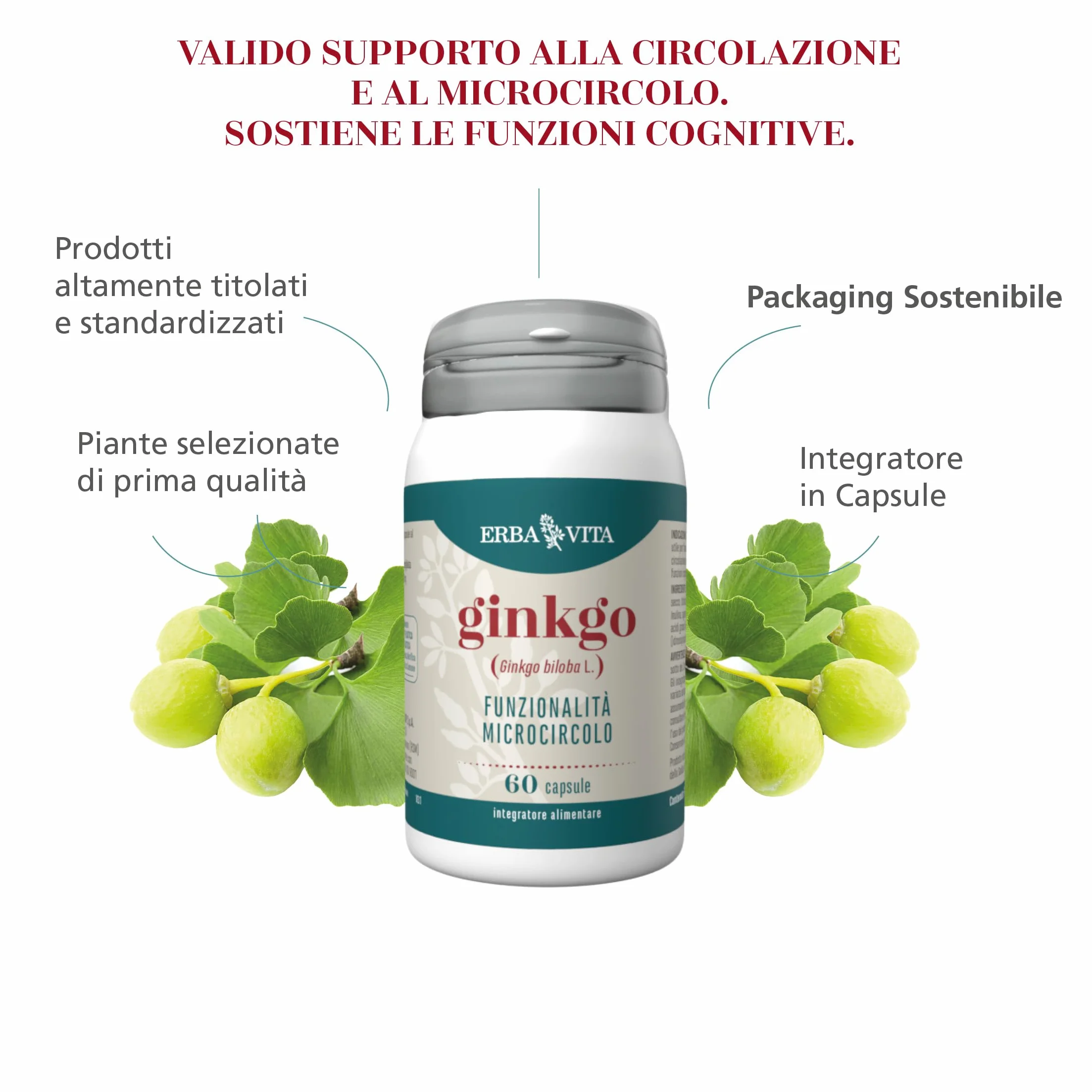 Erba Vita Integratore Alimentare Ginkgo 60 Capsule