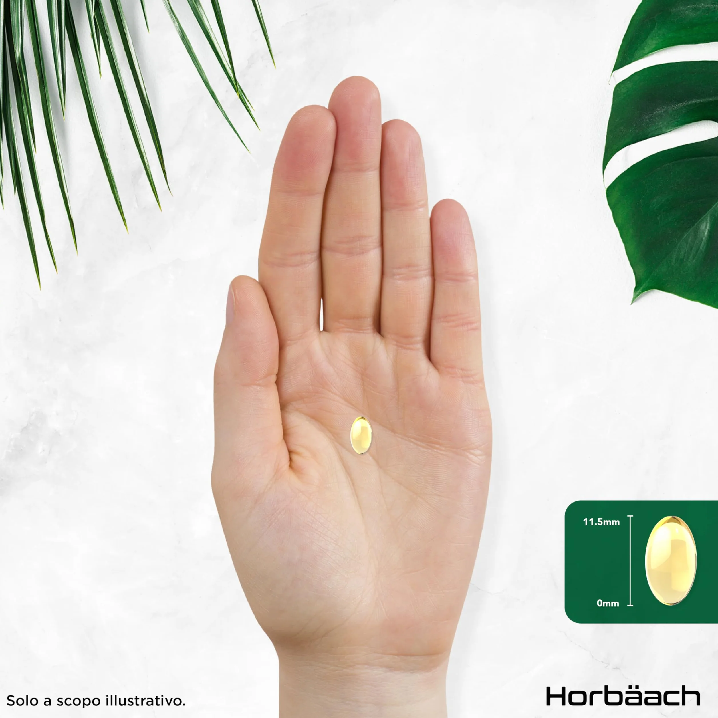 Aglio Capsule Inodore 15000mg | 180 Capsule Molli per 6 Mesi | Estratto di Aglio Deodorizzato ad Alto Dosaggio | Ricavato da Allium Sativum | Odorless Garlic Softgels | by Horbaach