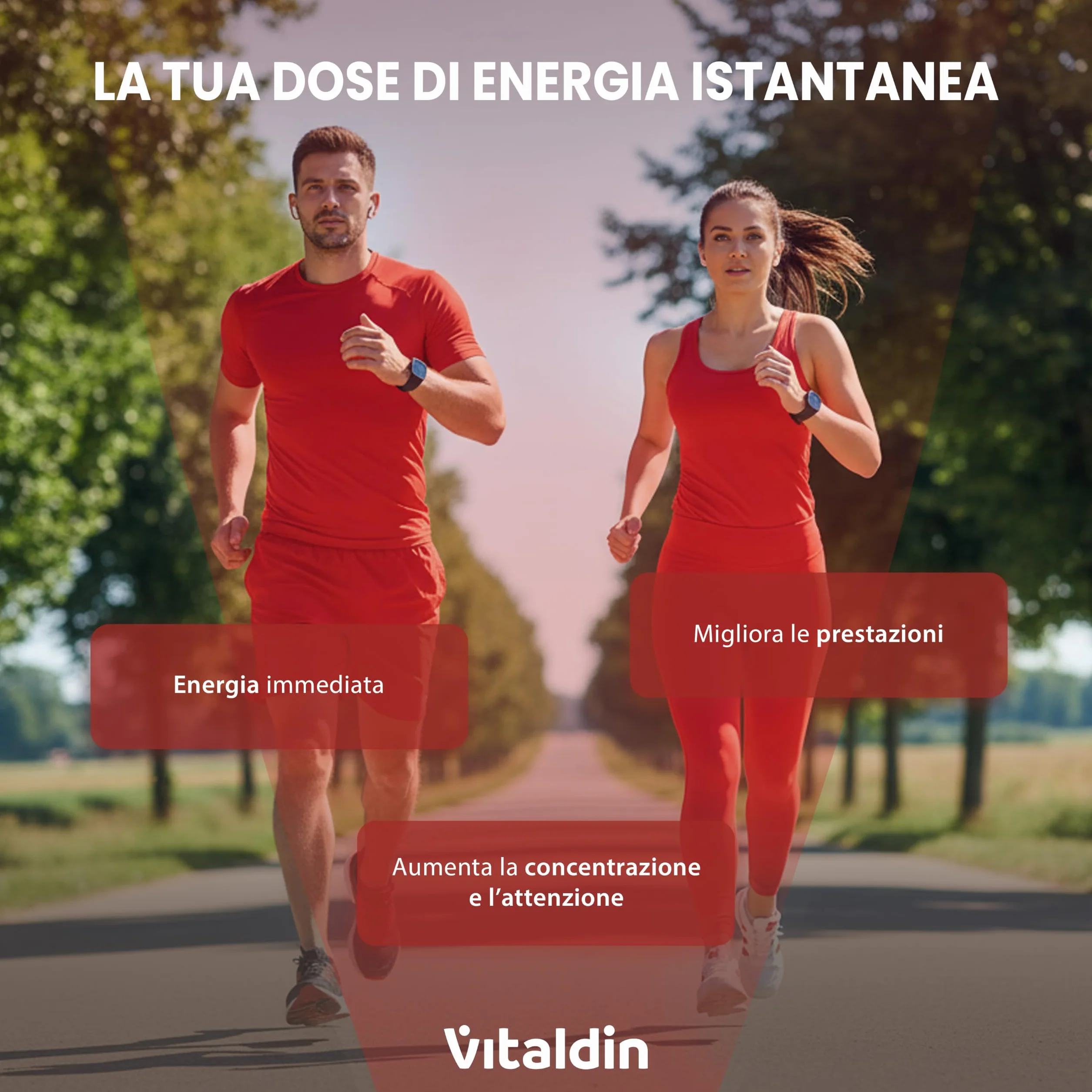 VITALDIN SPORT Power Gummies 80 mg Caffeina 40 mg Taurina 30 Caramelle Gommose gusto Frutti Rossi Vegano