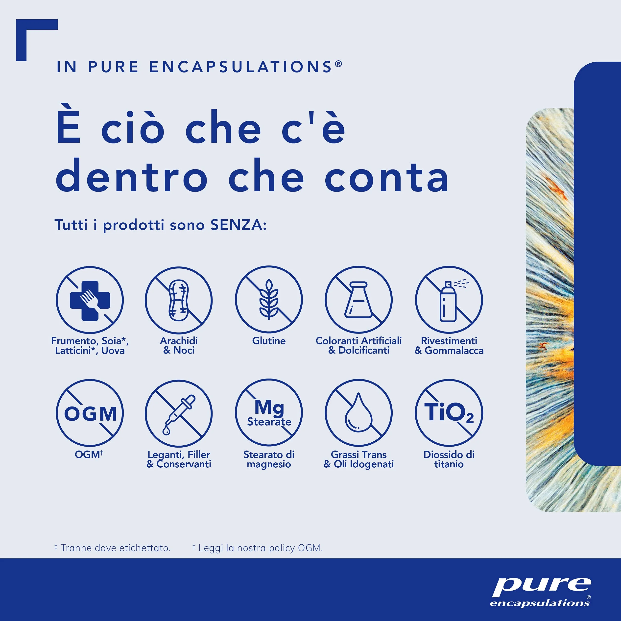 Pure Encapsulations - Vitamina A 10.000 IU - Supporto alla Vista, Funzioni Cognitive e Salute della Pelle - 30 Capsule Softgel