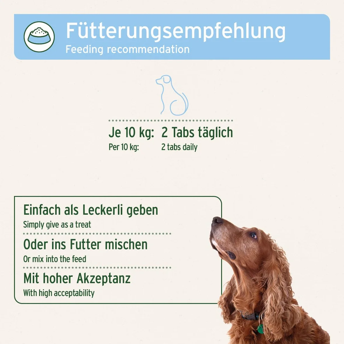 AniForte Lievito di birra per cani 500 Tabs - prodotto naturale per pelo lucido e pelle vitale