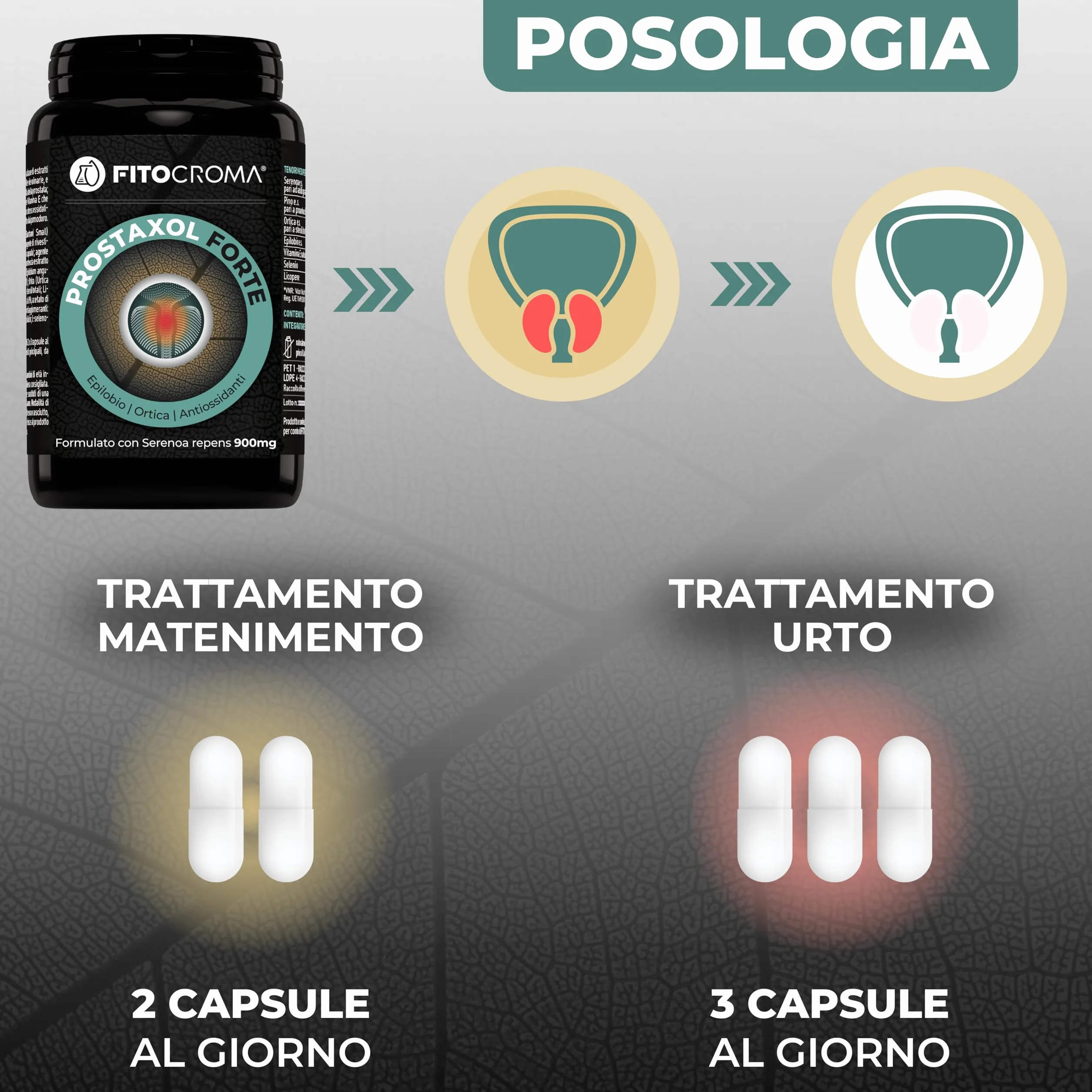 SERENOA REPENS FORTE 900MG 180 capsule Saw palmetto prostata Integratore prostata con Ortica Epilobio Licopene Vit E Selenio Proantocianidine