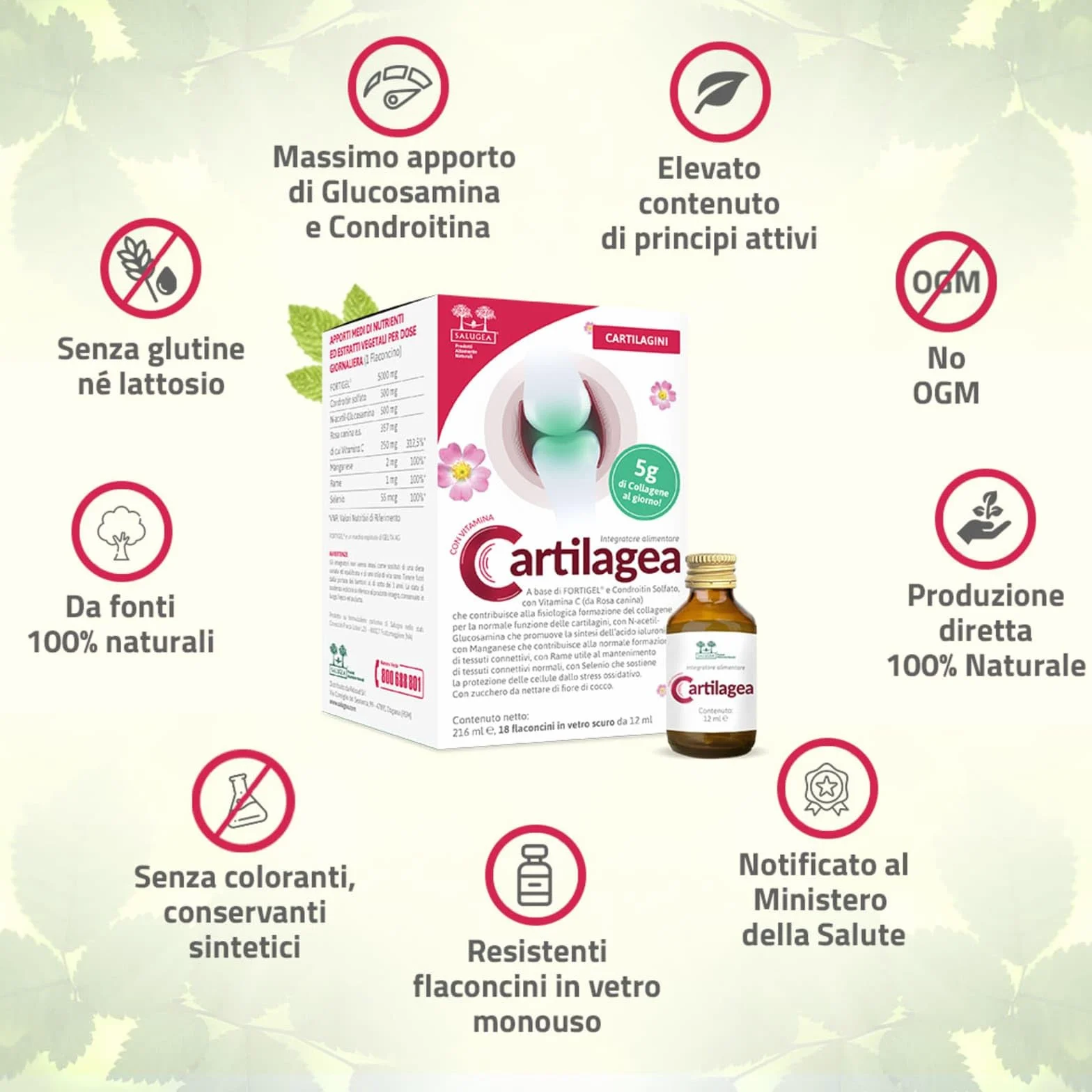 CARTILAGEA Salugea Integratore Cartilagini Collagene Idrolizzato Glucosamina Condroitina Rosa Canina Manganese Rame Selenio 18 Flaconcini