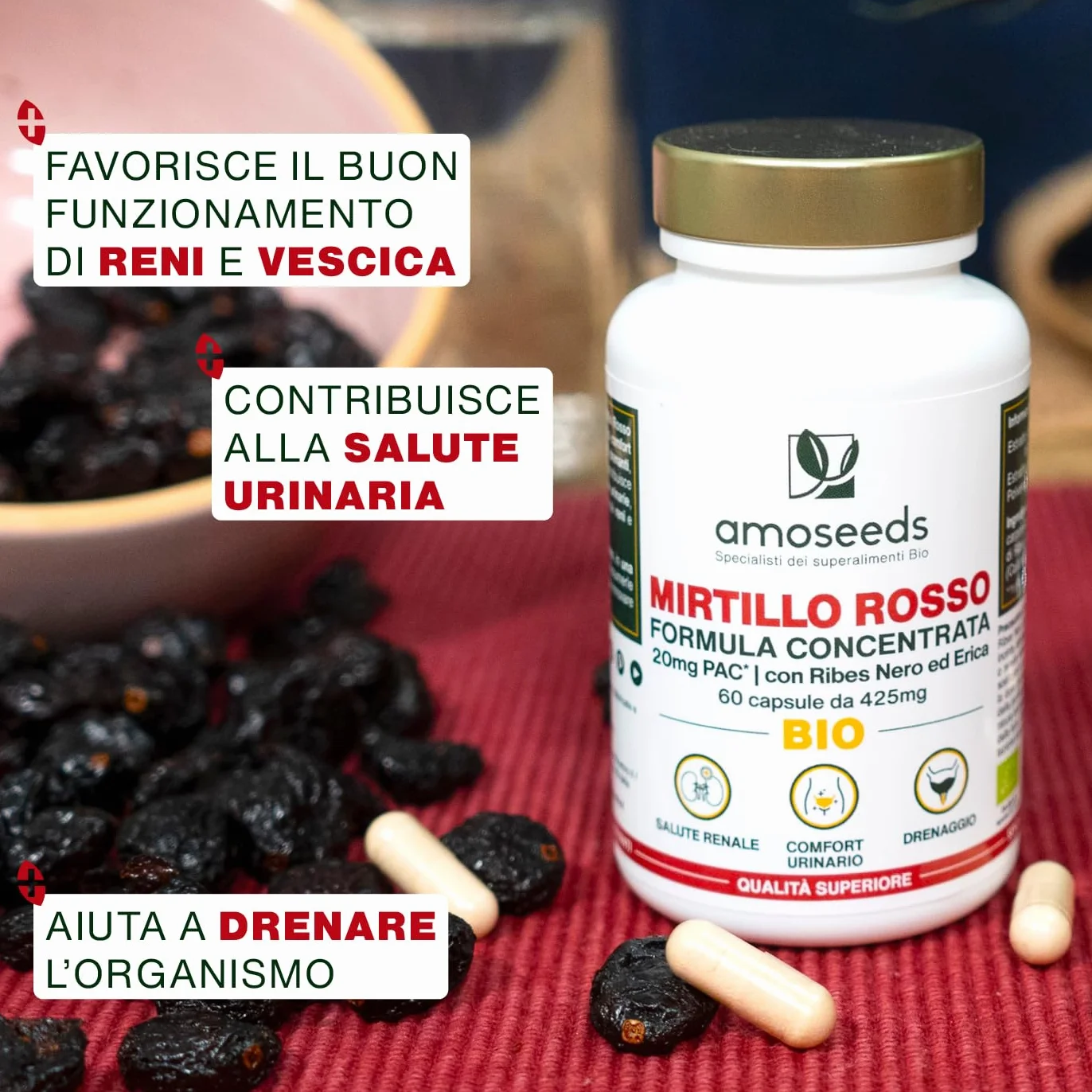 Mirtillo Rosso BIO | 5% PAC, Estratto ad Alta Concentrazione | Comfort Urinario, Reni, Vescica | Formula con Ribes Nero e Erica Bio | 60 capsule | Qualità Superiore