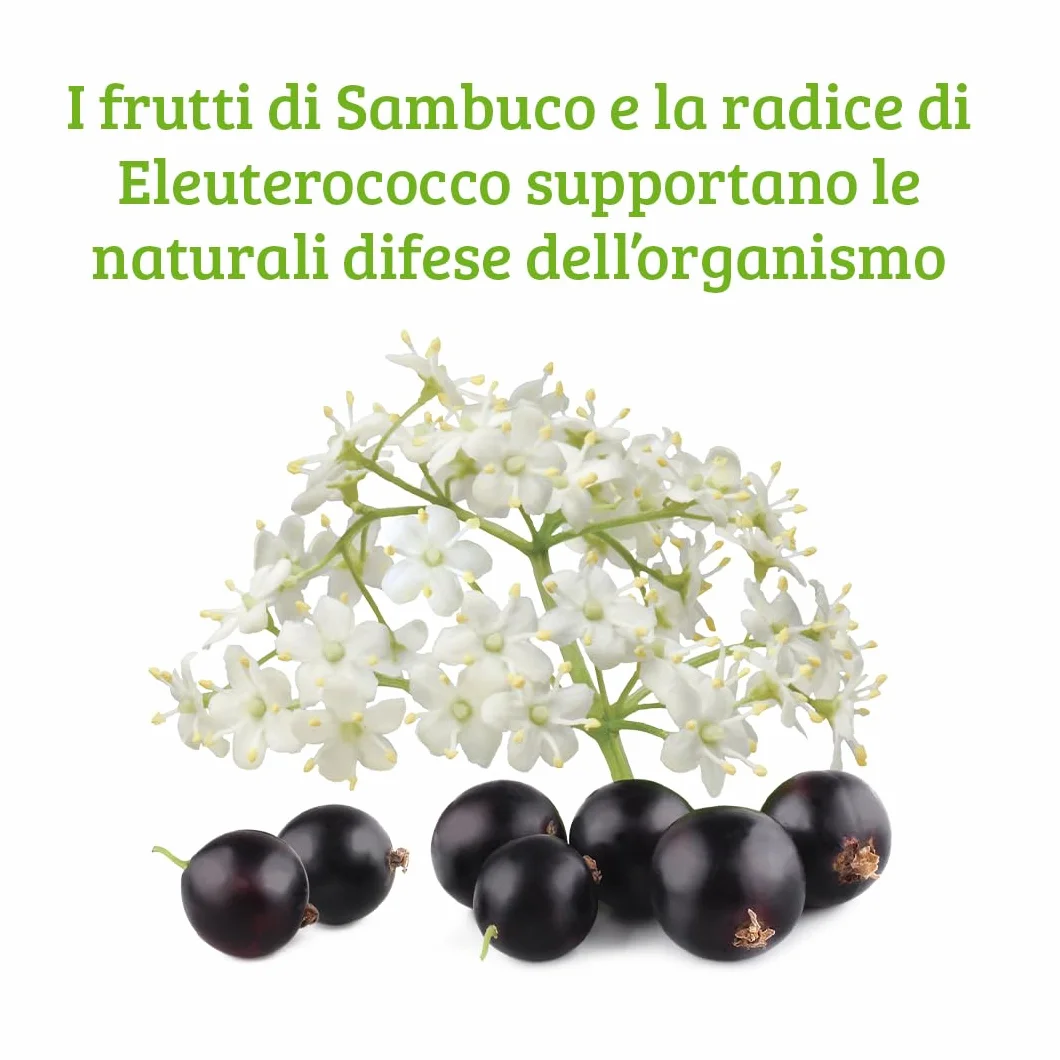Colours Of Life Sambuco Formula - integratore alimentare a base di Sambuo ed Eleuterococco, aiuta a rafforzare le naturali difese dell'organismo, 60 compresse