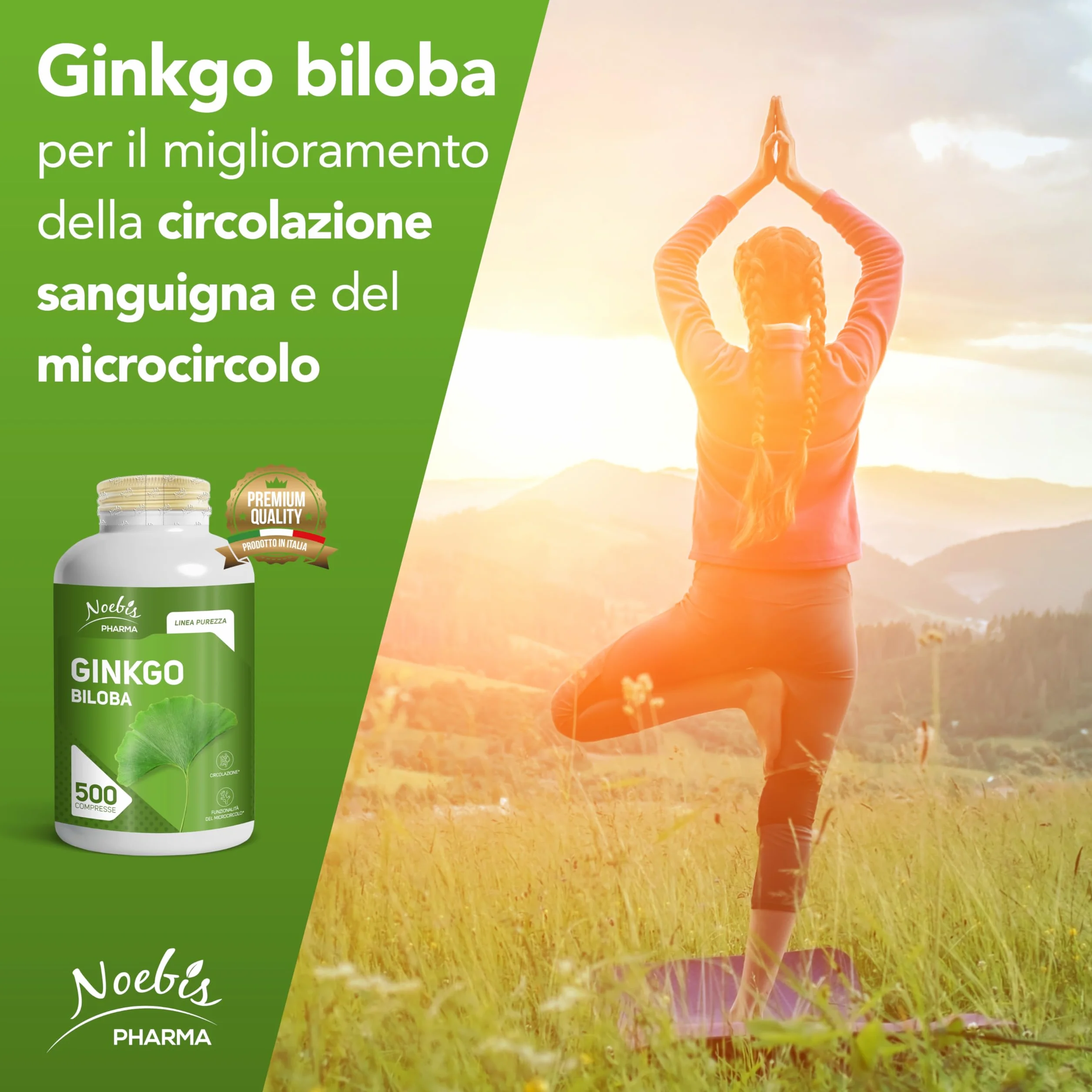 Ginkgo Biloba Noebis Pharma - Estratto Secco di Foglie - 500 Compresse - Microcircolo e Circolazione
