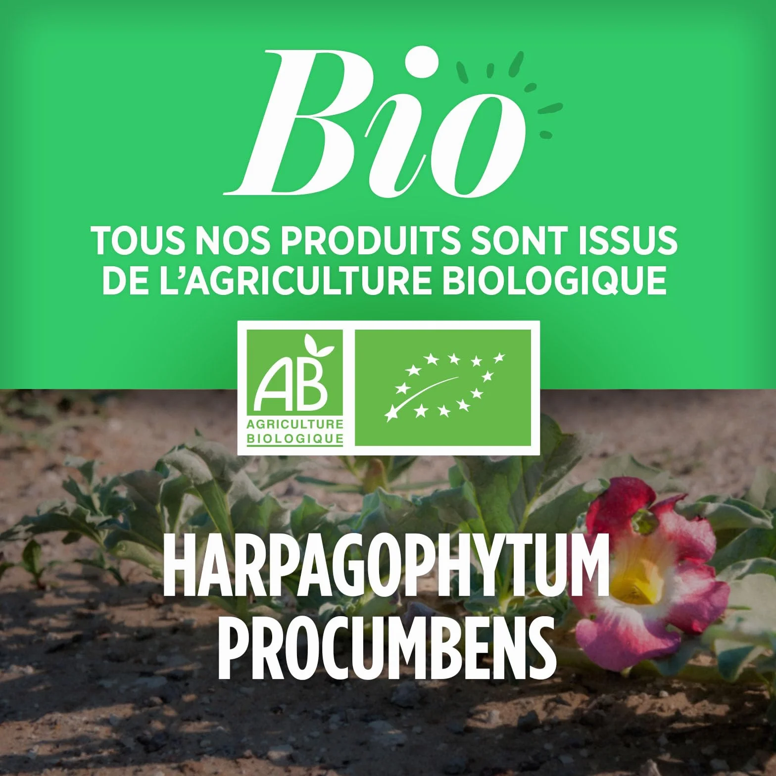 Harpagophytum Bio - 200 compresse