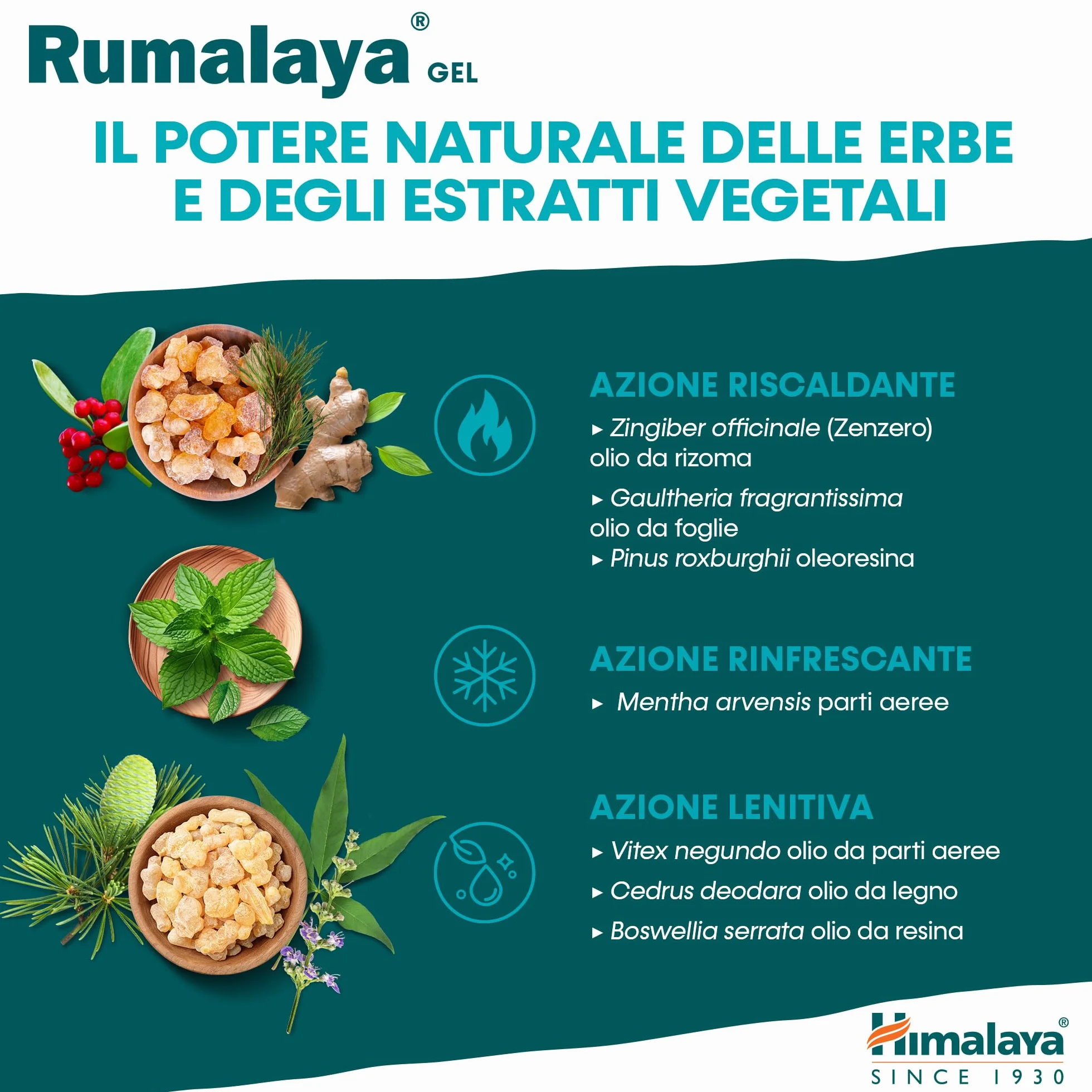 Himalaya Rumalaya Beruhigendes Gel Massagegel 50 g