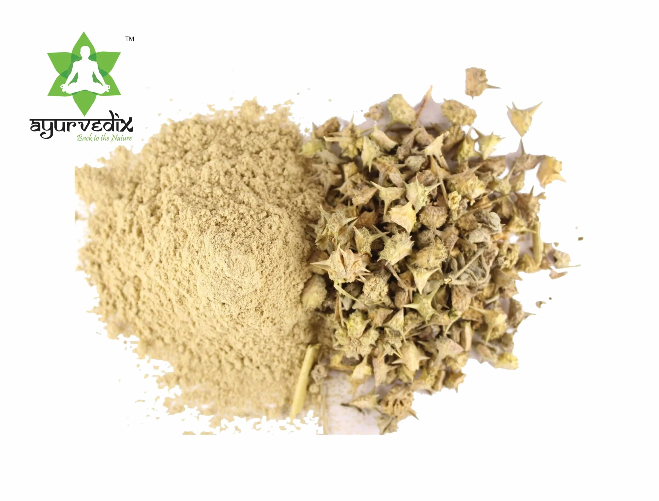 Polvere organica di Gokshura Tribulus Terrestris 200 g