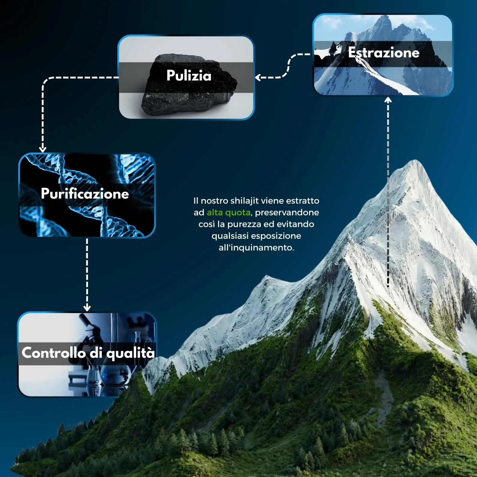Resina di SHILAJIT dell'Himalaya ✦ 100 Porzioni ✦ Alta Quota ✦ Senza Metalli Pesanti ✦ Senza Contaminazioni ✦ Ricco di Oligoelementi ✦ Rapporto 60:1 ✦ 100% Naturale ✦ Senza Trattamenti Chimici ✦