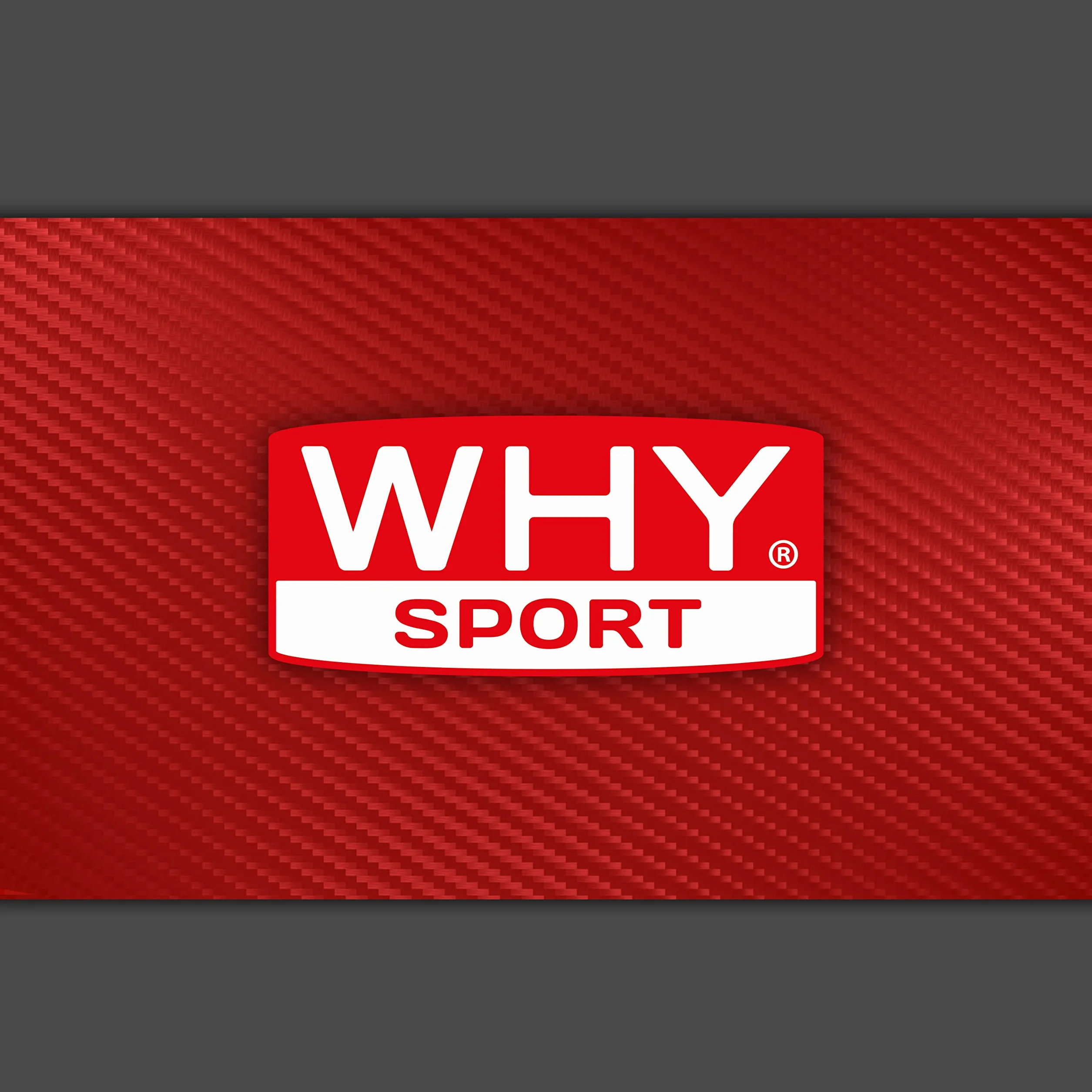 WHY SPORT CREATINA PURE - Creatina Monoidrato - Pre Workout - Integratore Alimentare a Base di Creatina Monoidrato Creapure - 300 g