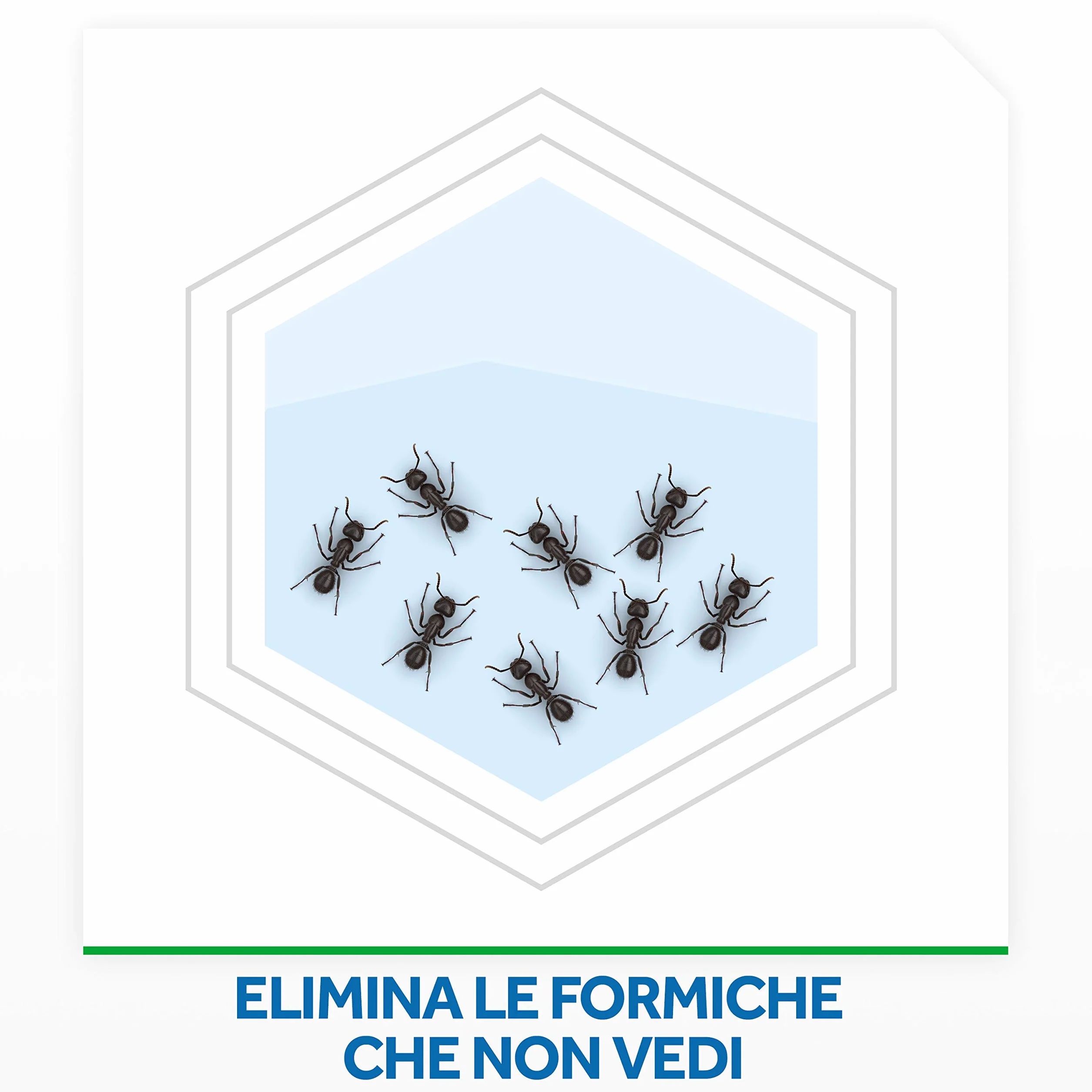 Insetticida Baygon Polvere Scarafaggi/Formiche Gr. 250