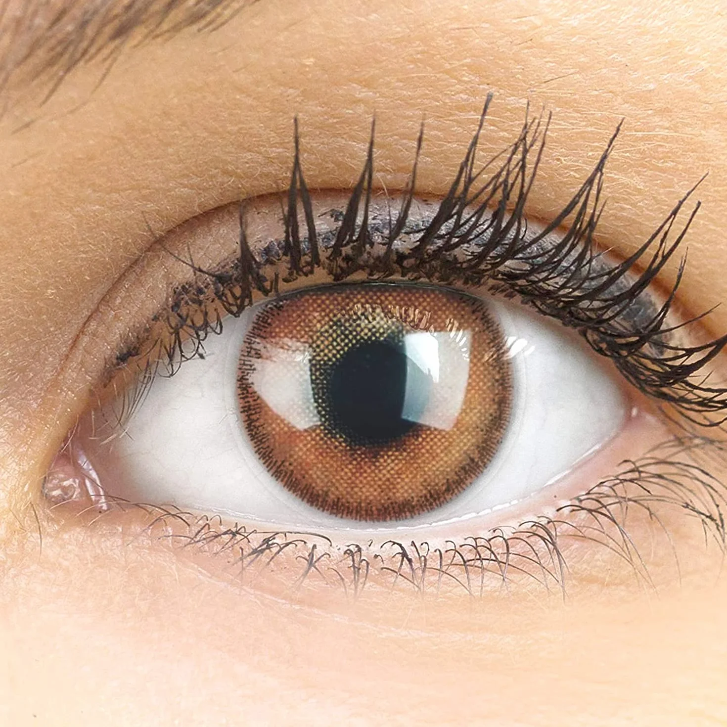 GLAMLENS Mirel Choco Hazel Lenti a Contatto Colorate Marrone Scuro - Mensili Silicone Idrogel, 2 Pezzi, DIA 14.0, 0.00 Diottrie
