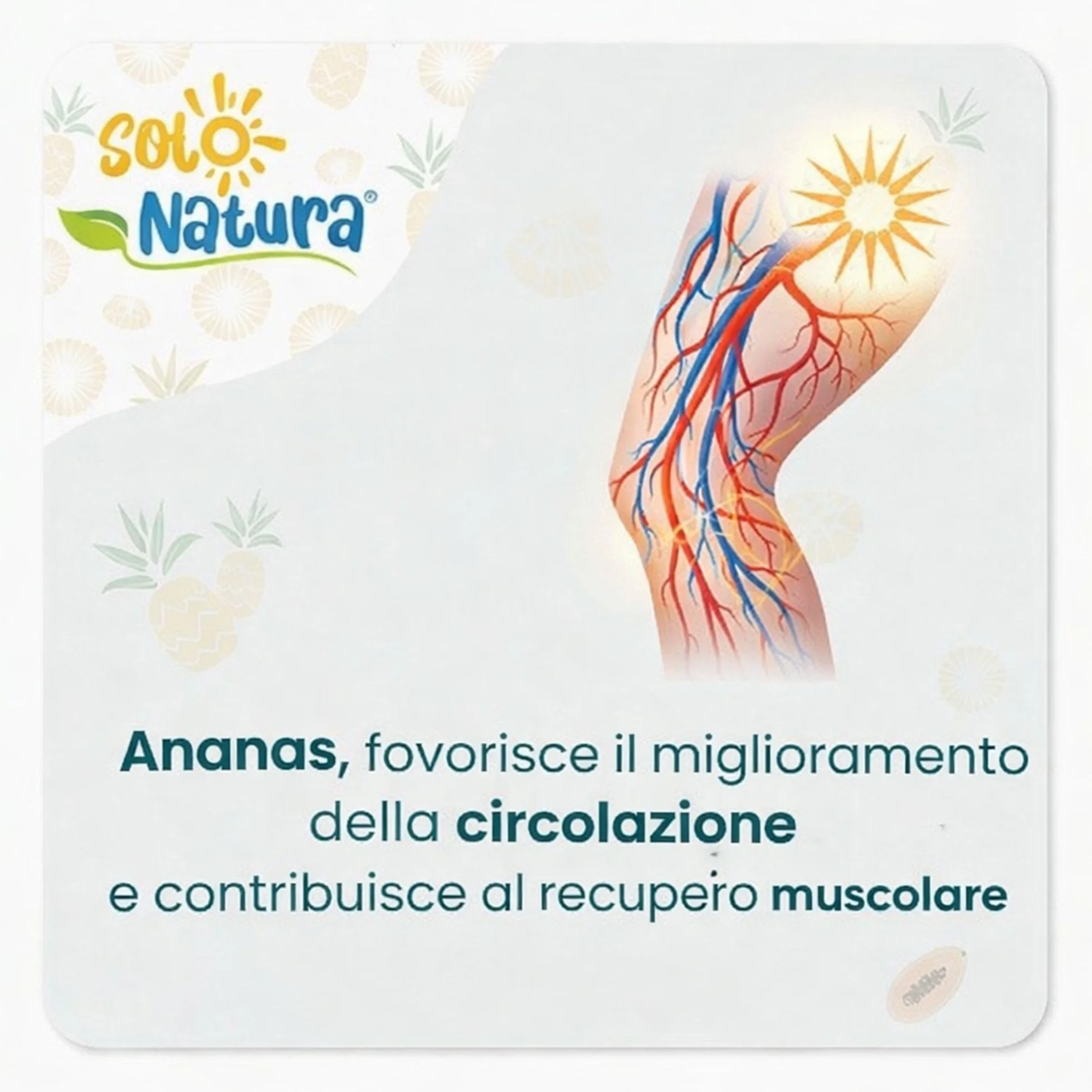 Solo Natura AFLOGIS – Integratore di Boswellia Serrata e Bromelina da Ananas. Supporto per Articolazioni e Funzionalità del Microcircolo, 60 Compresse da 500 mg