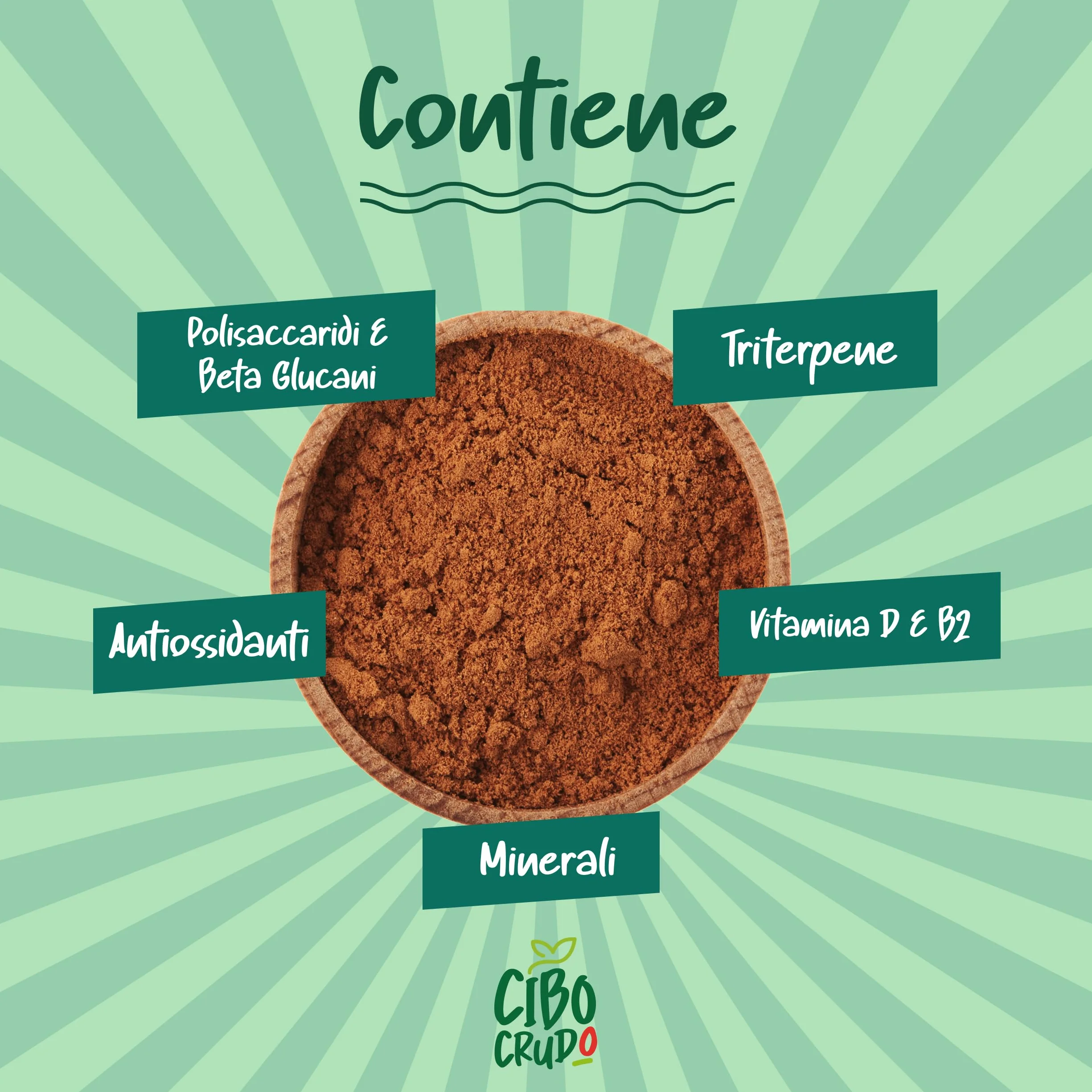 Reishi Ganoderma Lucidum Puro e Bio in Polvere - 300g. Fungo Reishi Biologico Essiccato al Sole e Macinato a Basse Temperature. Funghi medicinali Fonte di Antiossidanti, Fungo Cinese Reishi