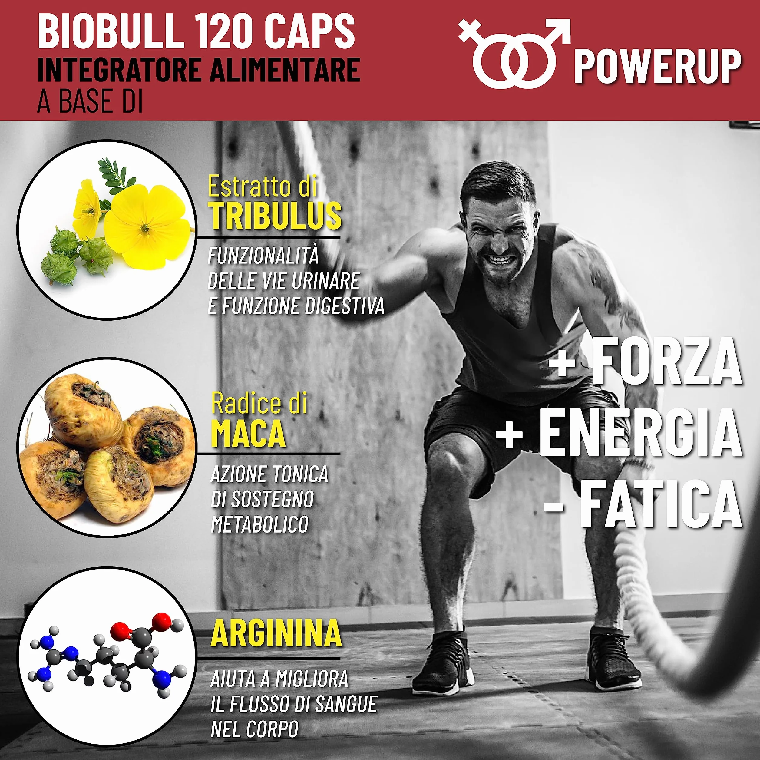Tribulus Terrestris e Maca Peruviana nera con L Arginina. Integratore uomo alte prestazioni + Vitamine B + Zinco, boost testosterone .Incremento Massa Muscolare Potente Energizzante Uomo