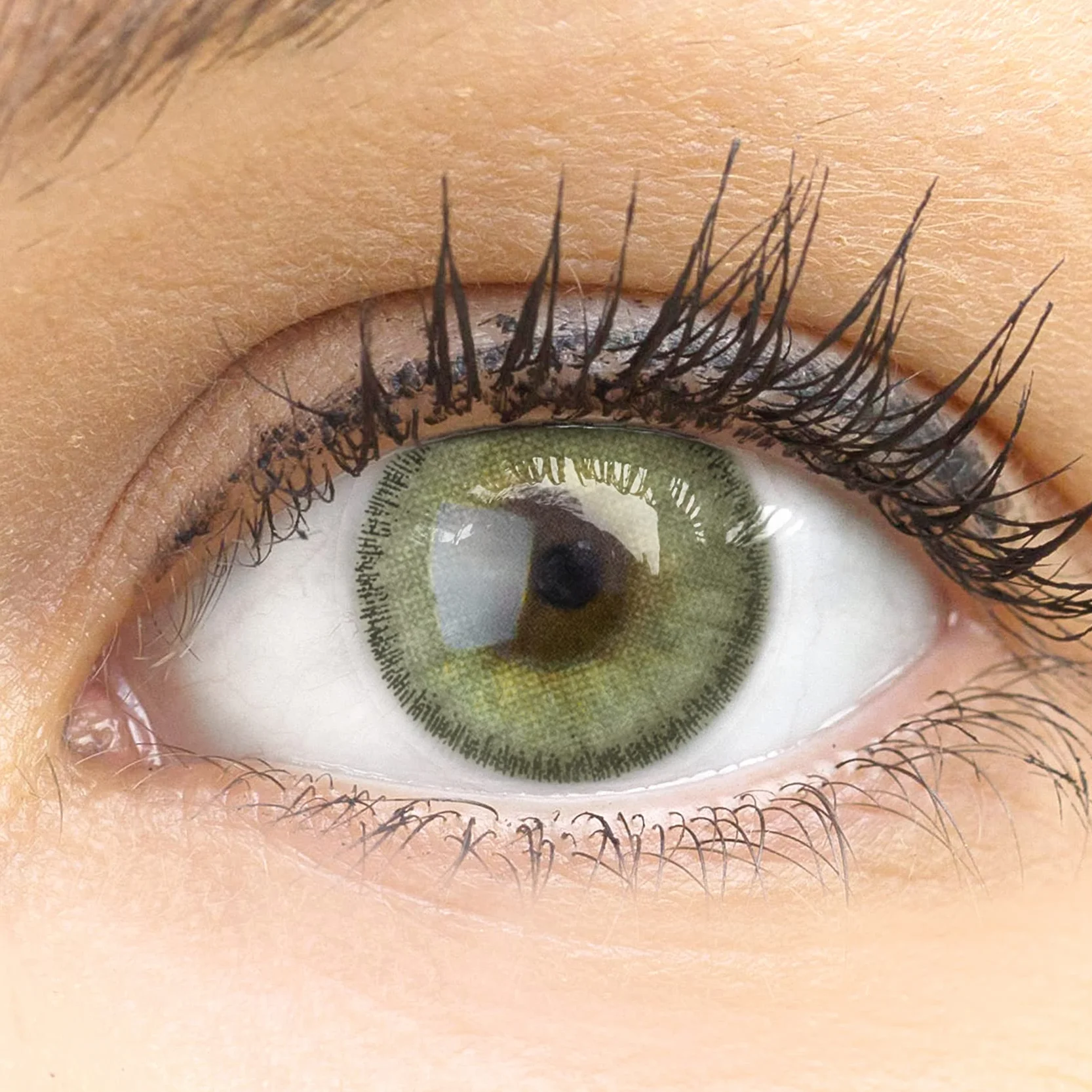 GLAMLENS Lenti a Contatto Colorate Verde Mensili Silicone Idrogel Naturali 2 Pezzi DIA 14,00 mm 0.00 Diottrie