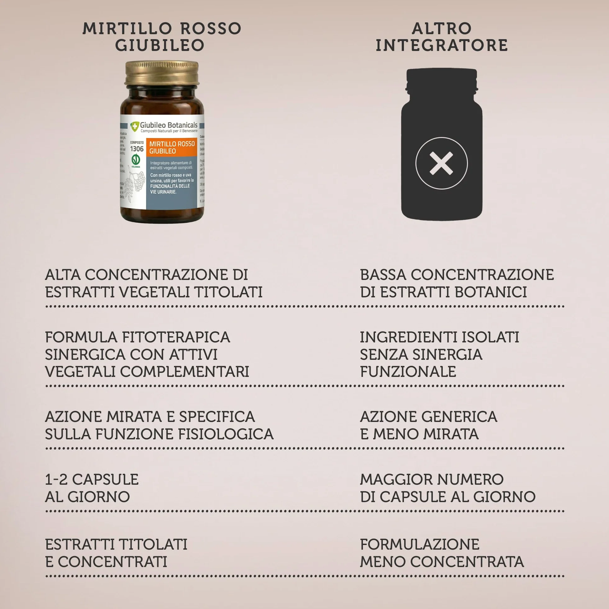 Integratore 100% naturale con MIRTILLO ROSSO E UVA URSINA - utili per la funzionalità delle vie urinarie, con BETULLA - 30 capsule