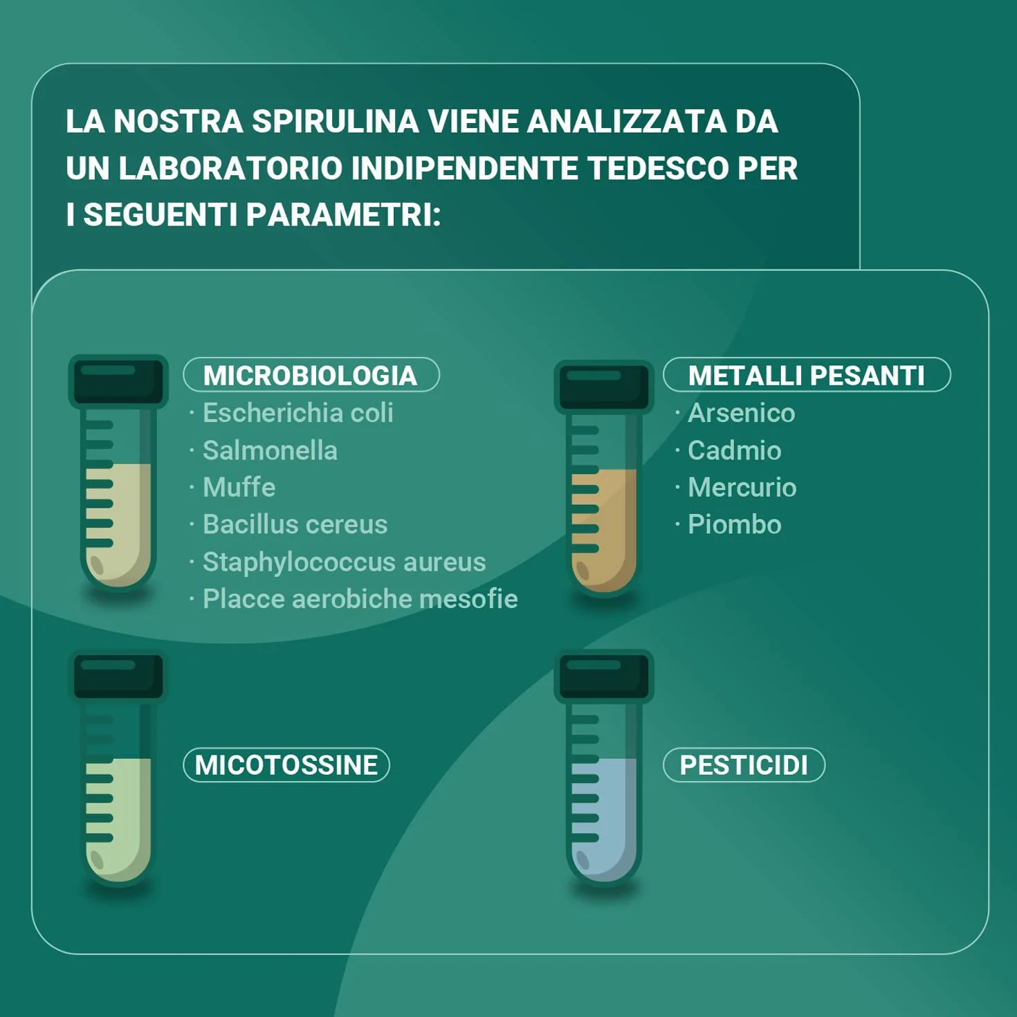 Detox Organica Spirulina in polvere BIO 250g Ricca di Ficocianina Ferro Vitamine Minerali Proteine Alga Spirulina Pura